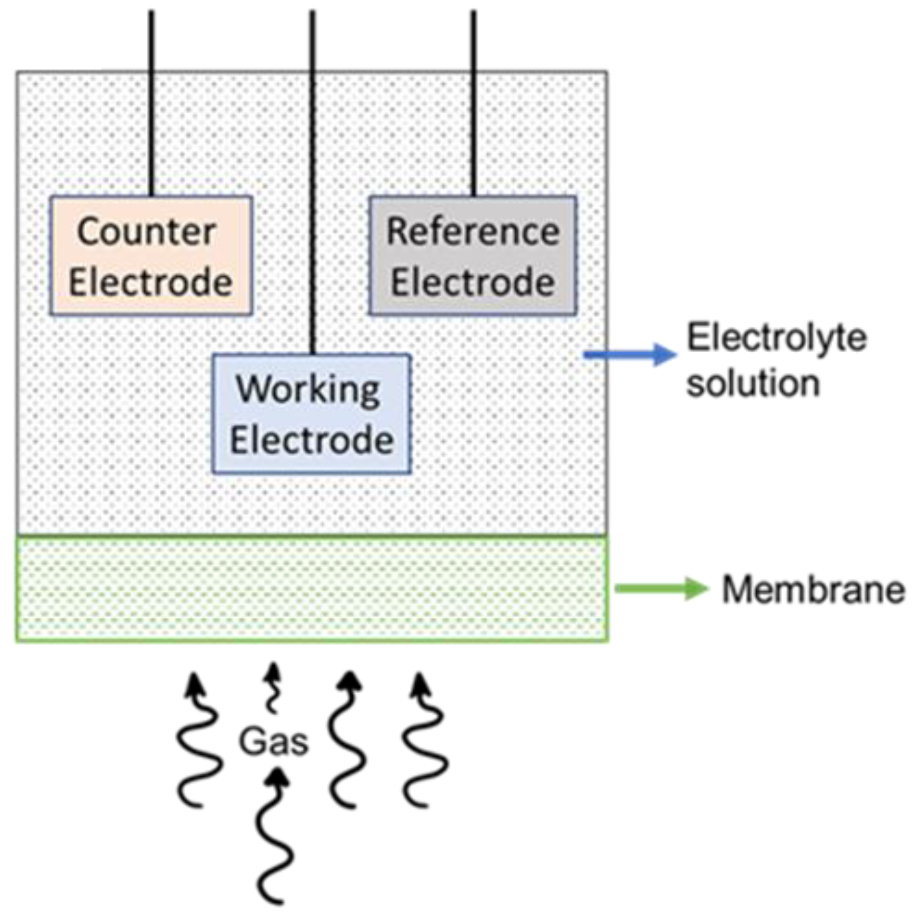Chemosensors 10 00290 g001