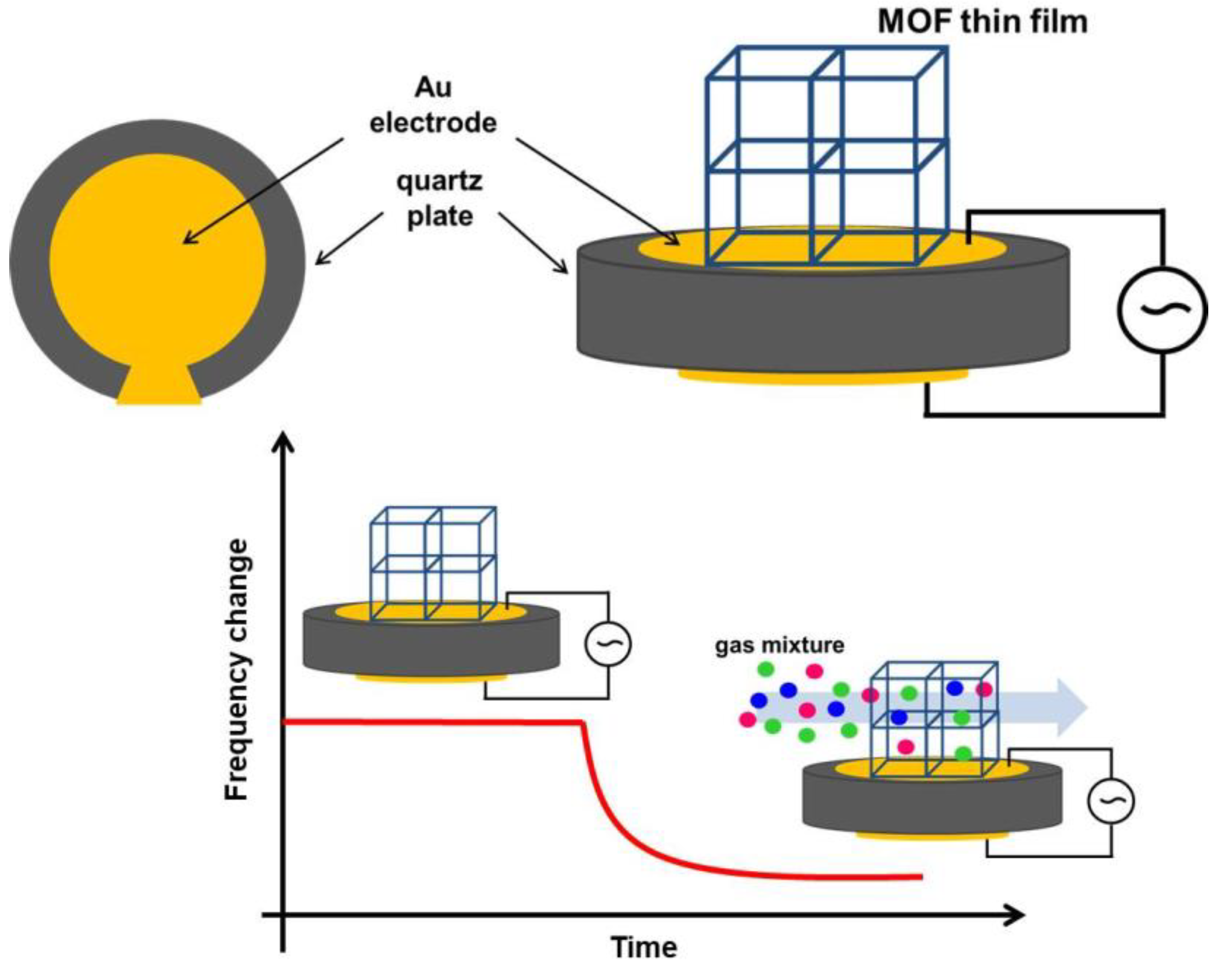 Chemosensors 10 00290 g005