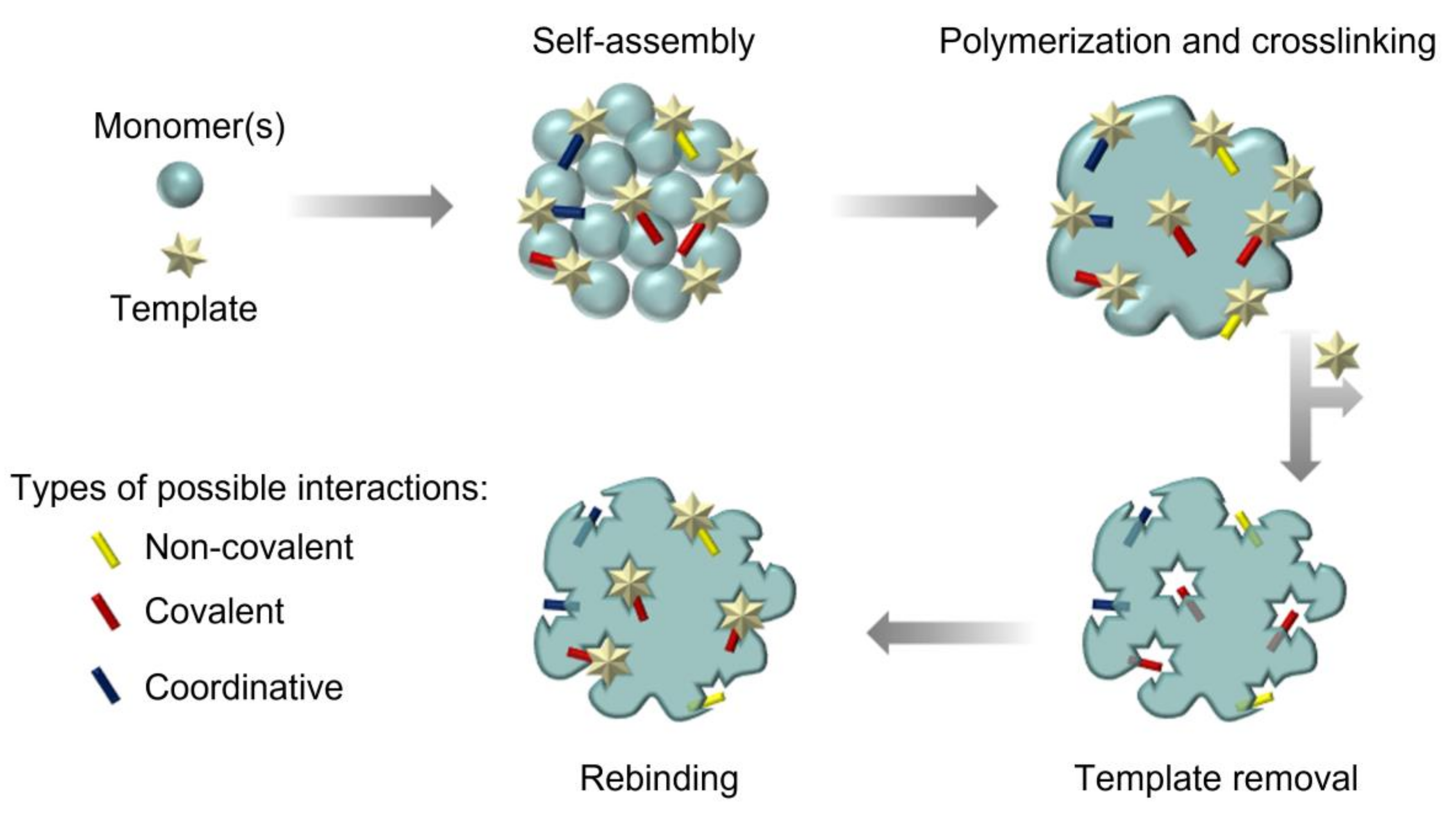 Chemosensors 10 00296 g001