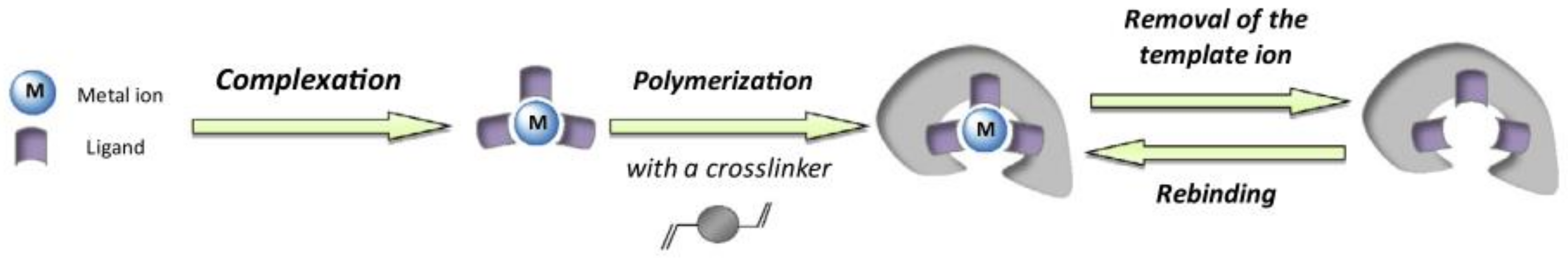 Chemosensors 10 00296 g003