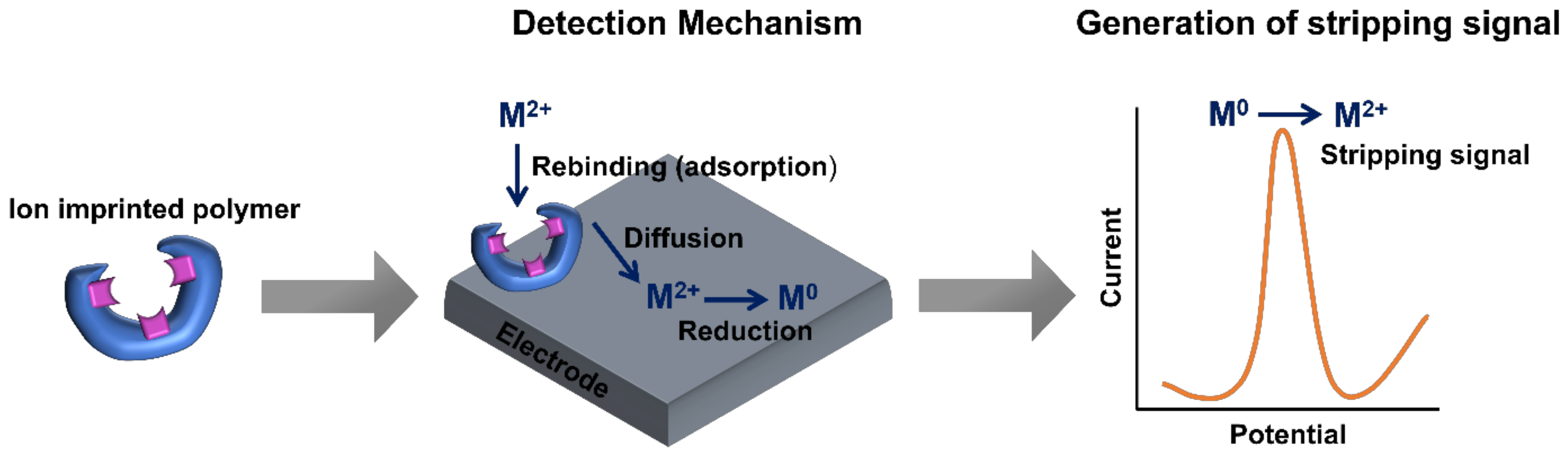 Chemosensors 10 00296 g004