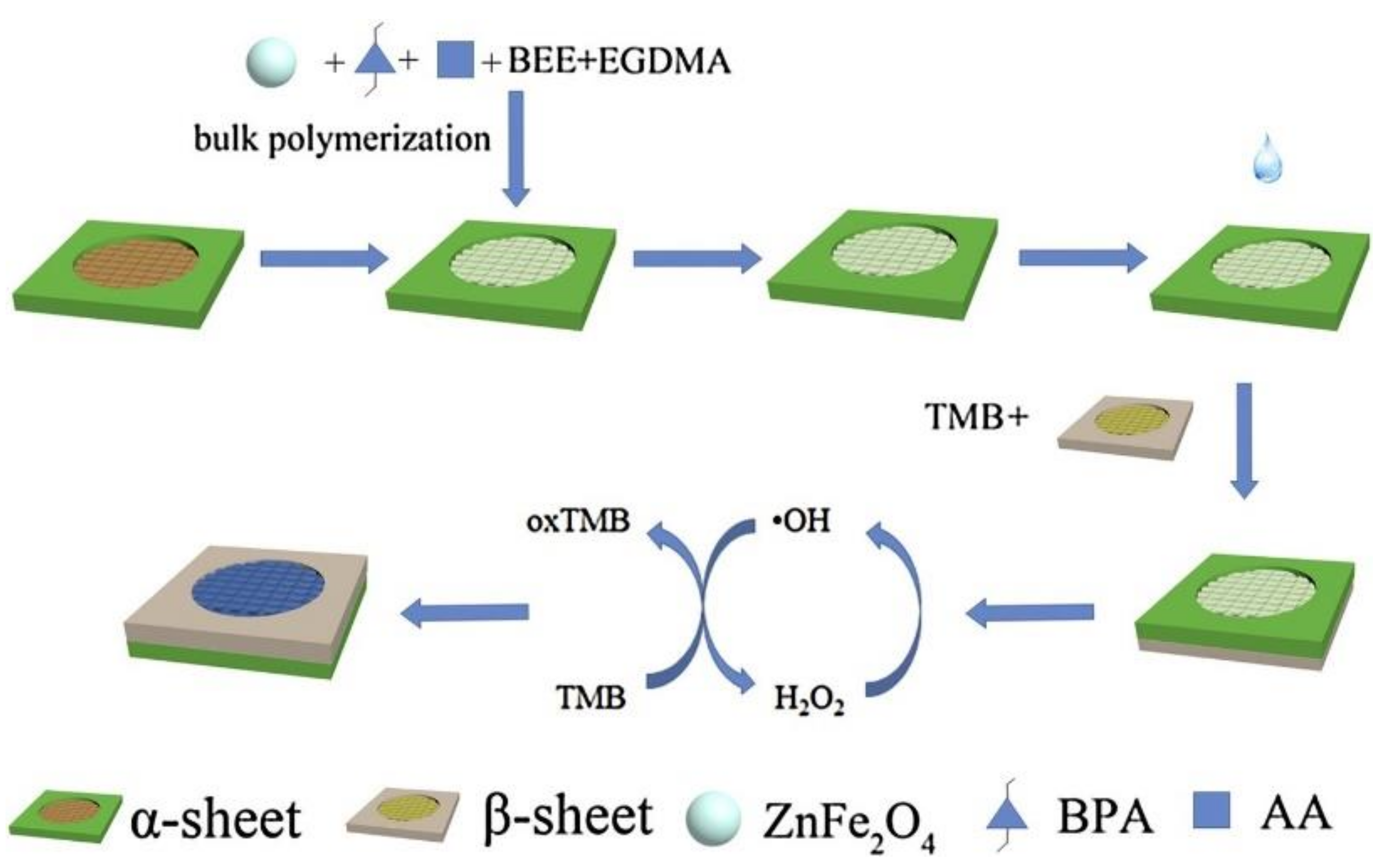 Chemosensors 10 00296 g006