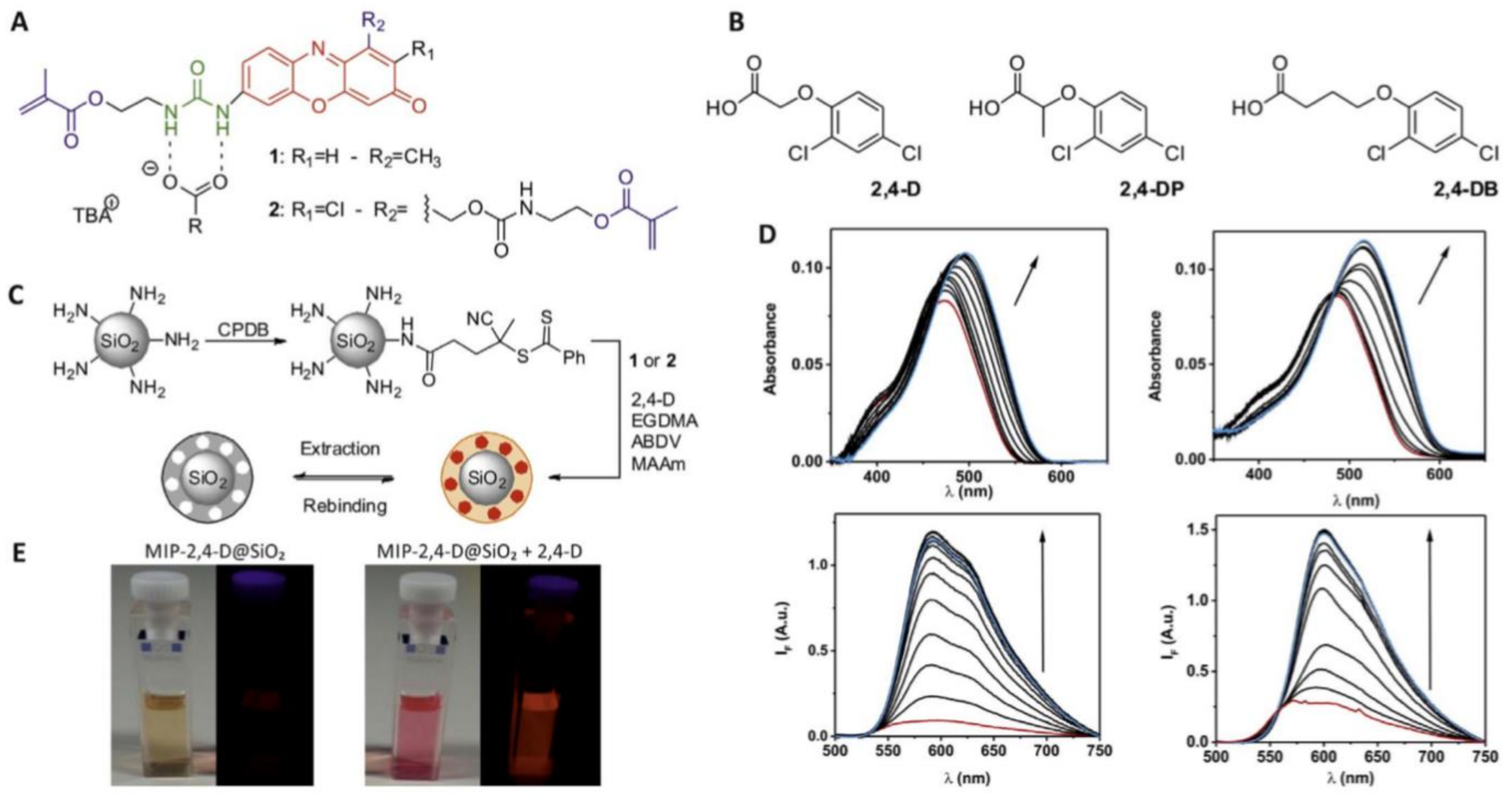 Chemosensors 10 00296 g007