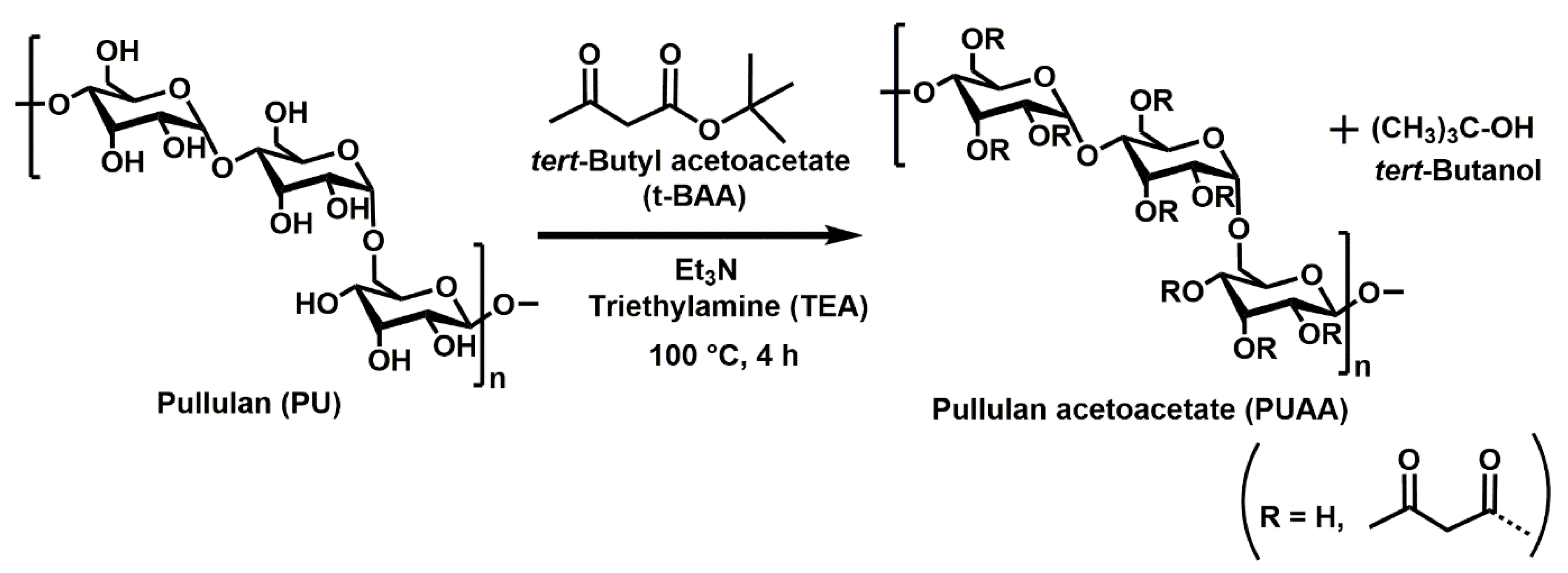 Chemosensors 10 00299 g001