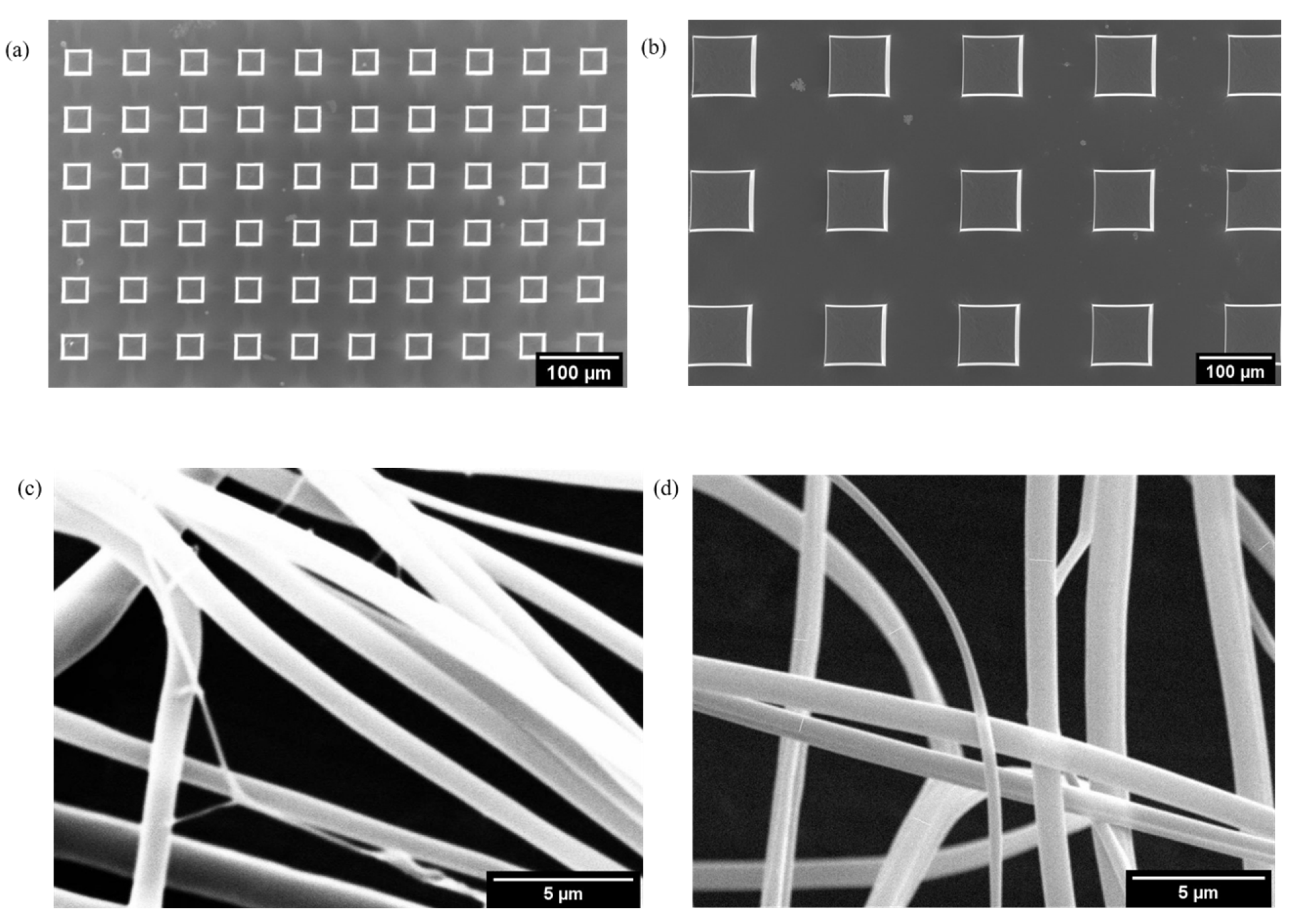 Chemosensors 10 00299 g003