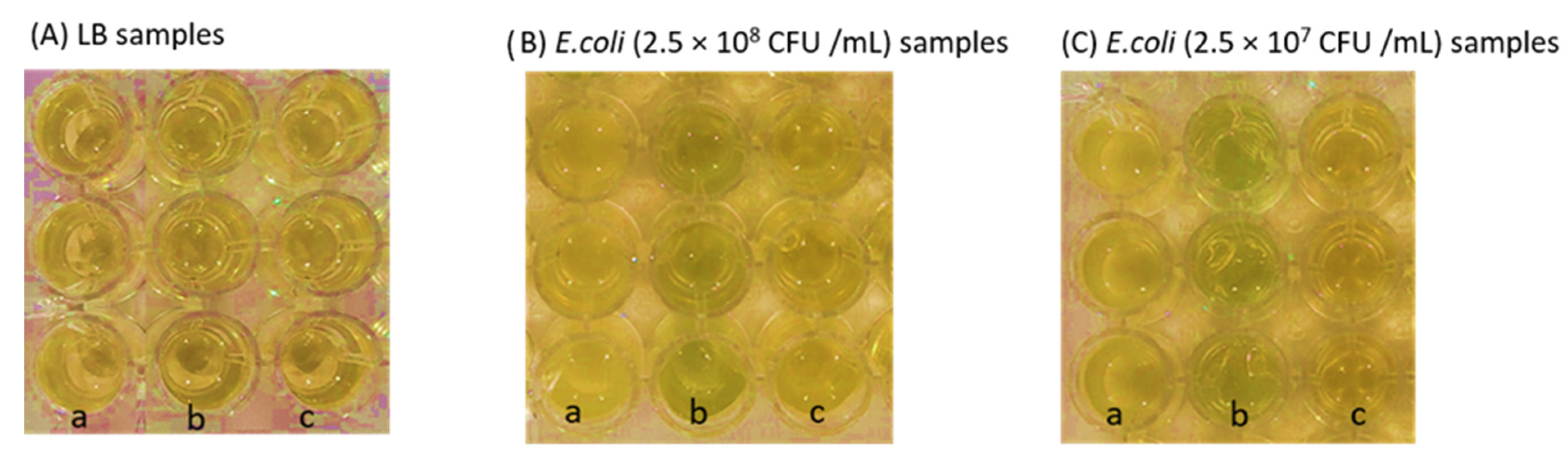 Chemosensors 10 00299 g012
