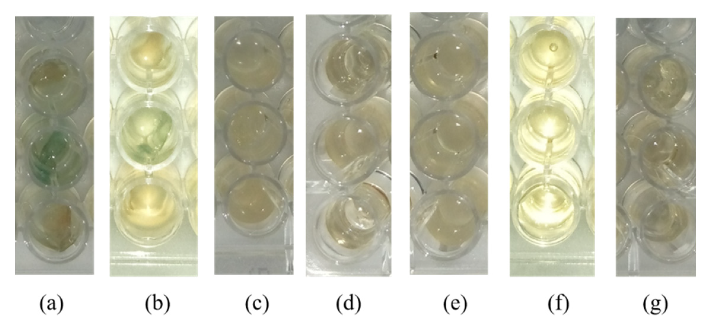 Chemosensors 10 00299 g013
