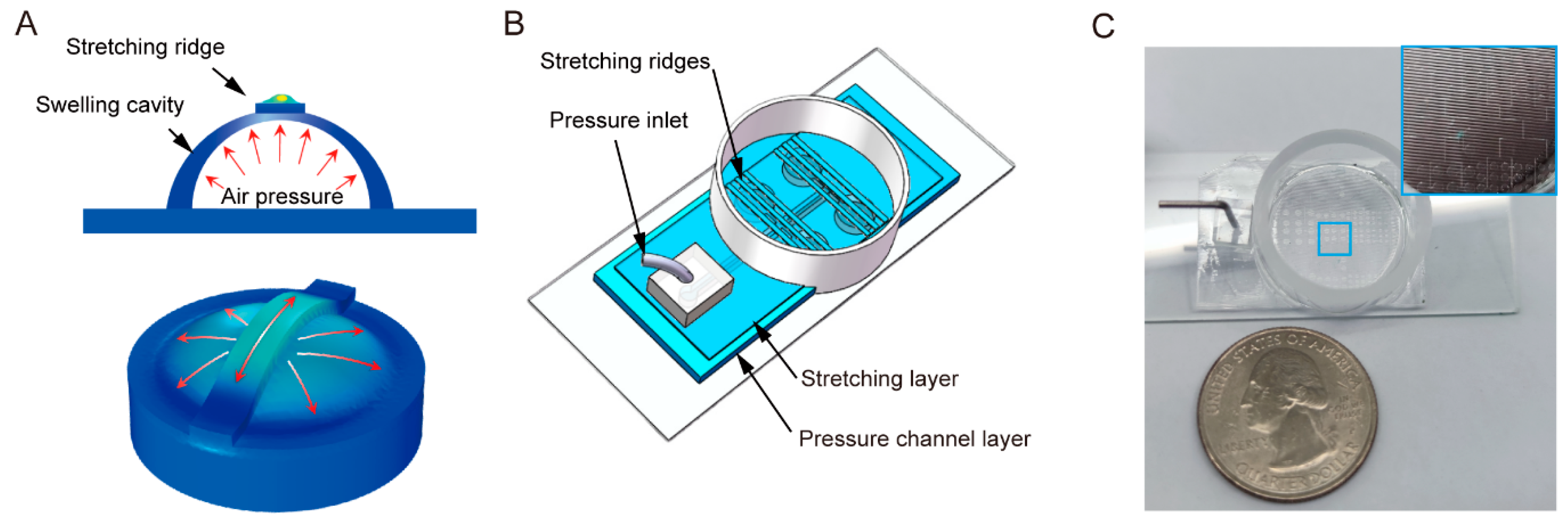 Chemosensors 10 00302 g001