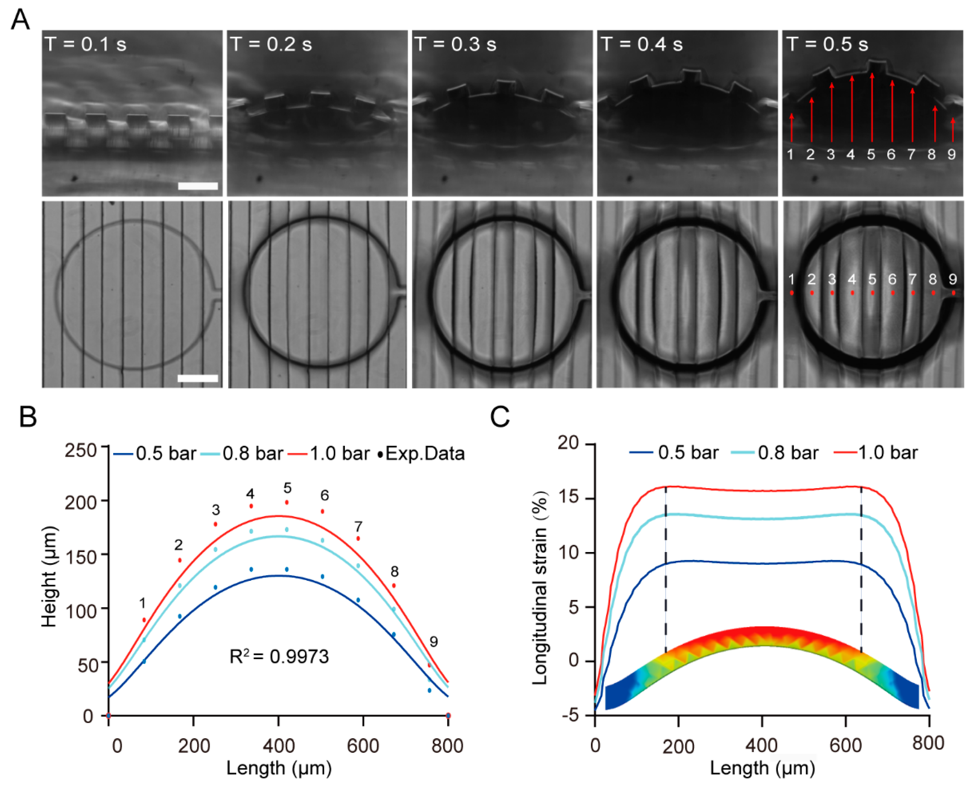 Chemosensors 10 00302 g002