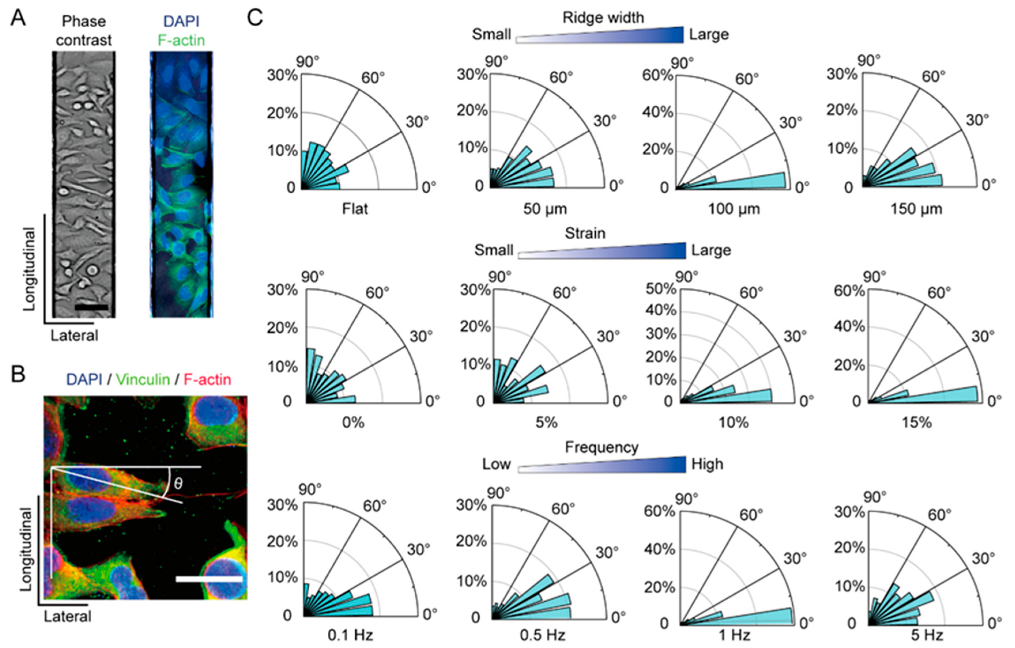 Chemosensors 10 00302 g005