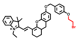 Chemosensors 10 00304 i017