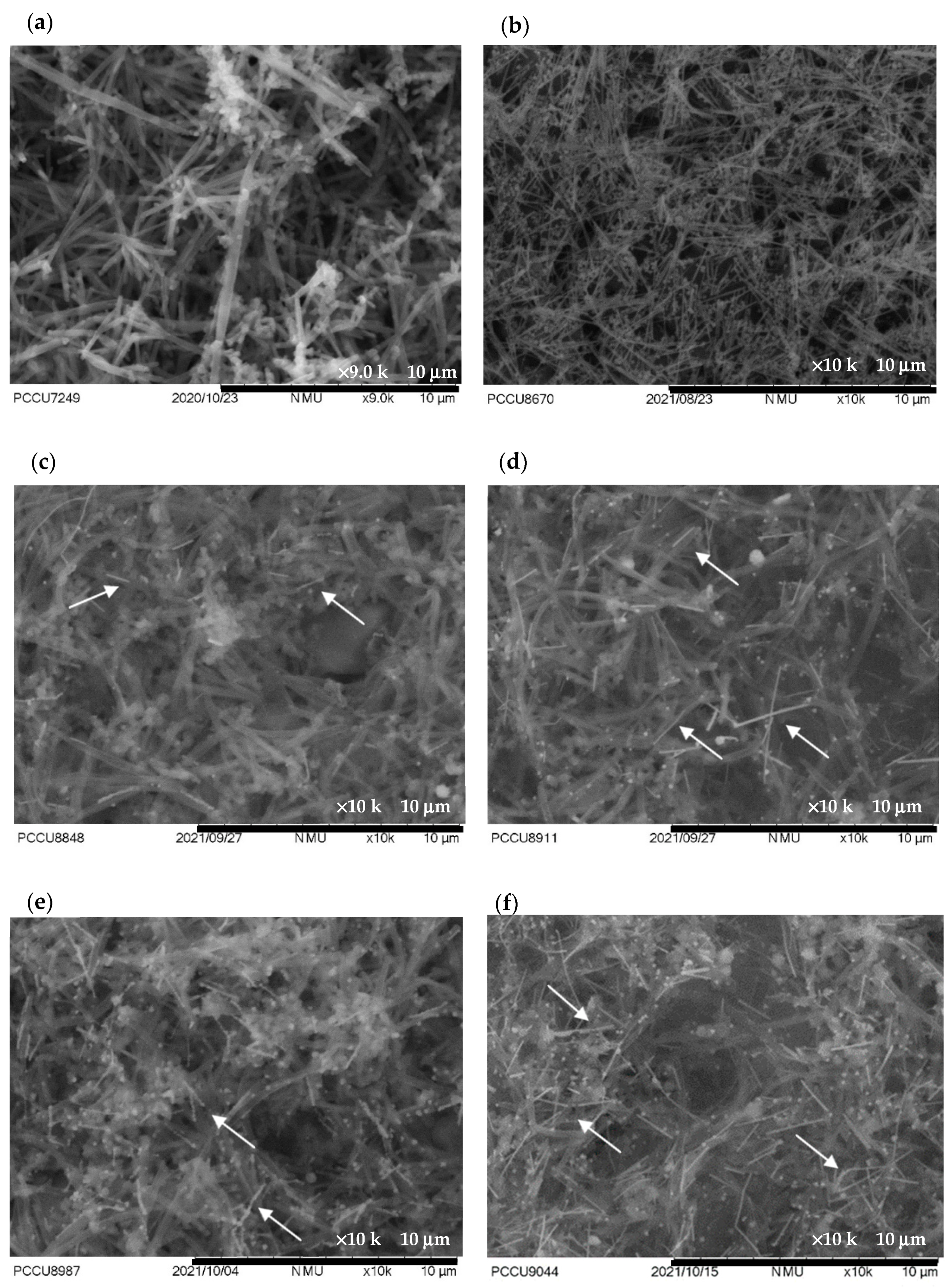 Chemosensors 10 00305 g004a