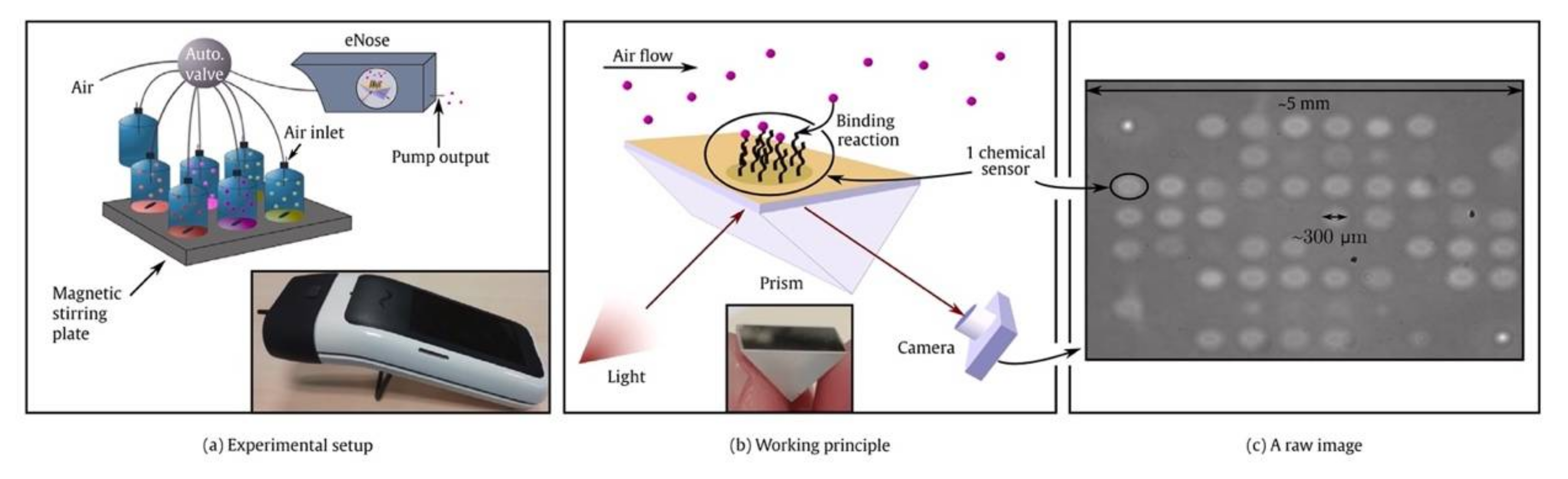 Chemosensors 10 00308 g004