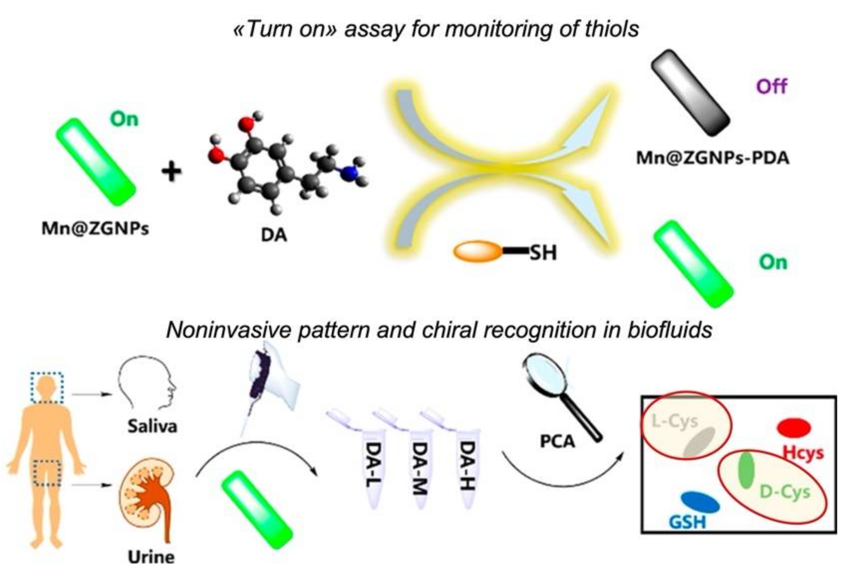 Chemosensors 10 00308 g006
