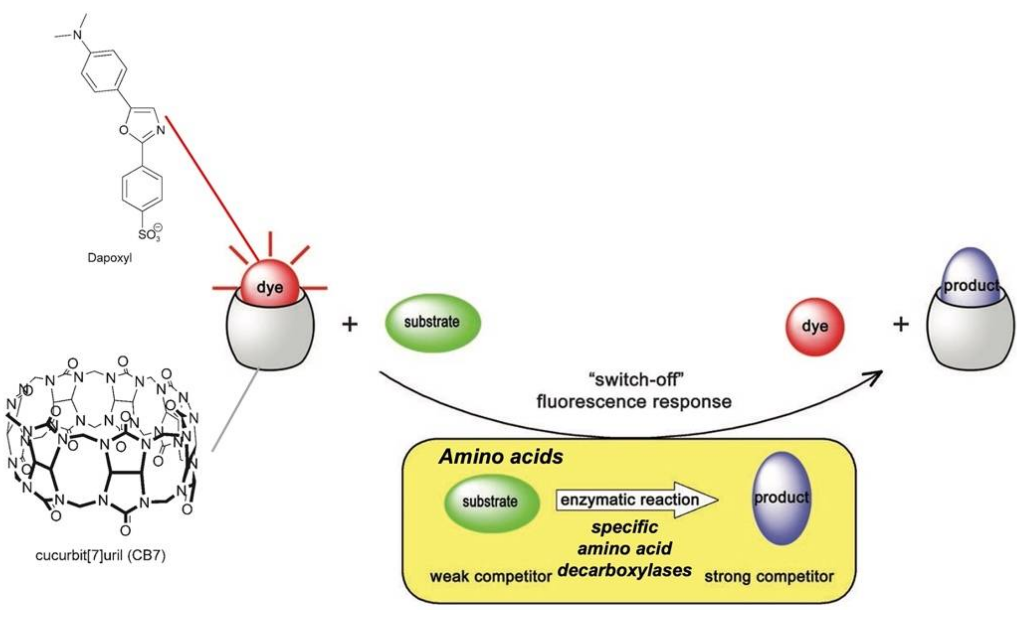 Chemosensors 10 00308 g010