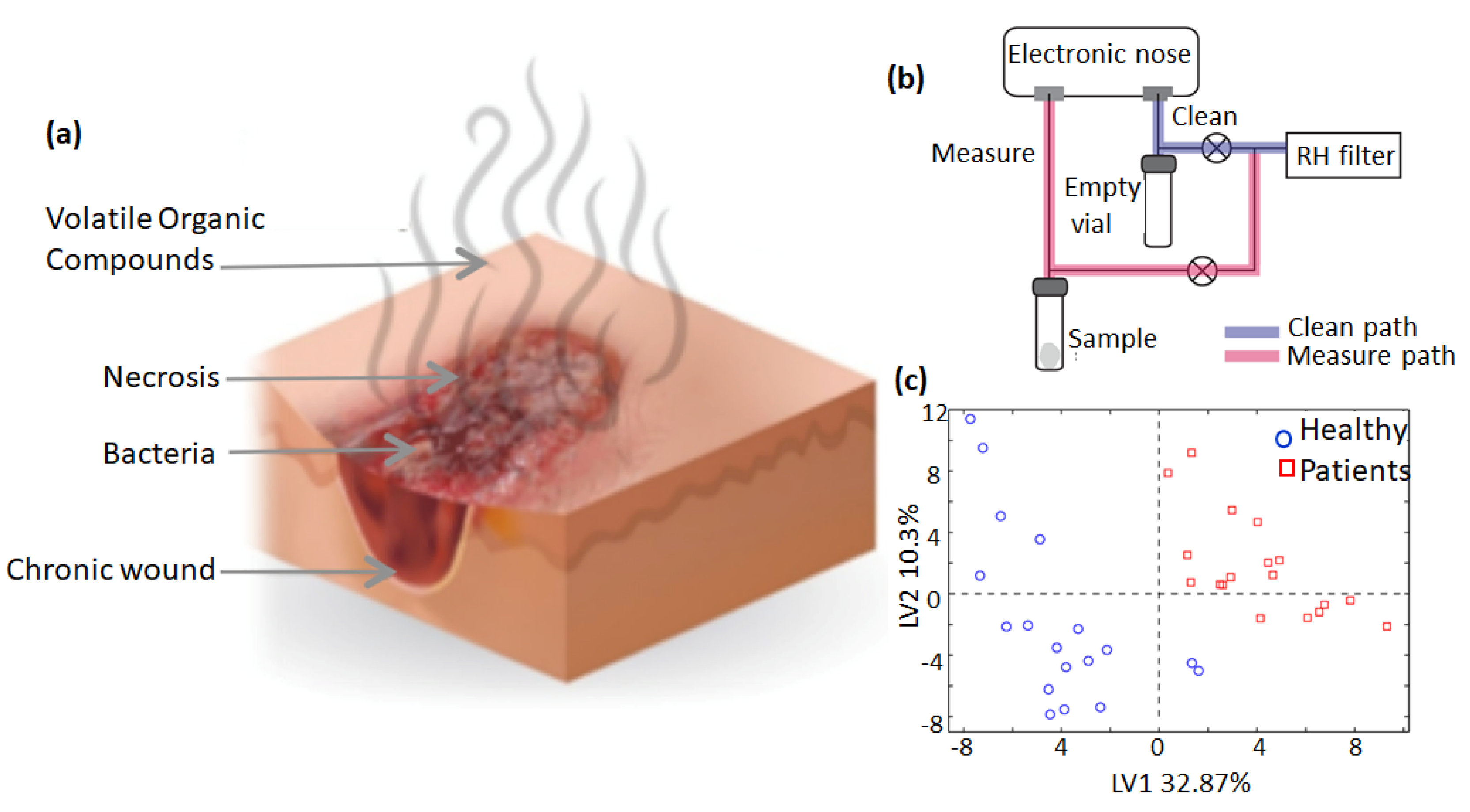 Chemosensors 10 00311 g007