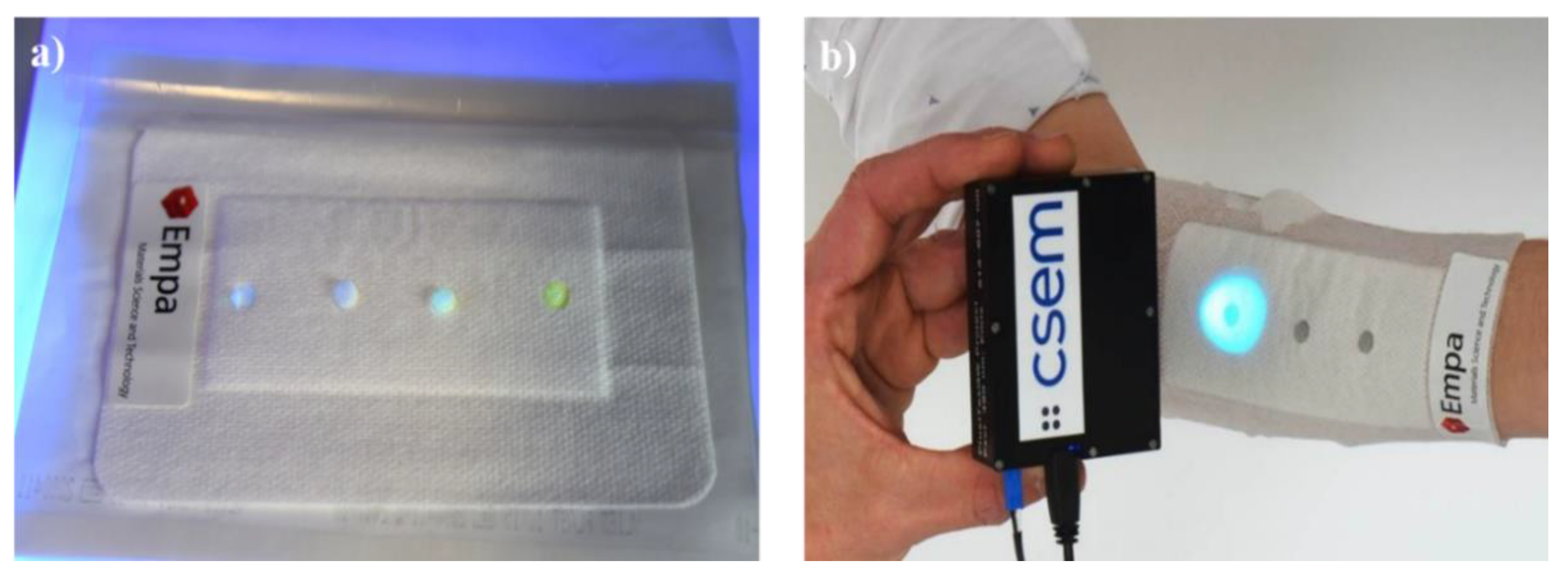 Chemosensors 10 00311 g013