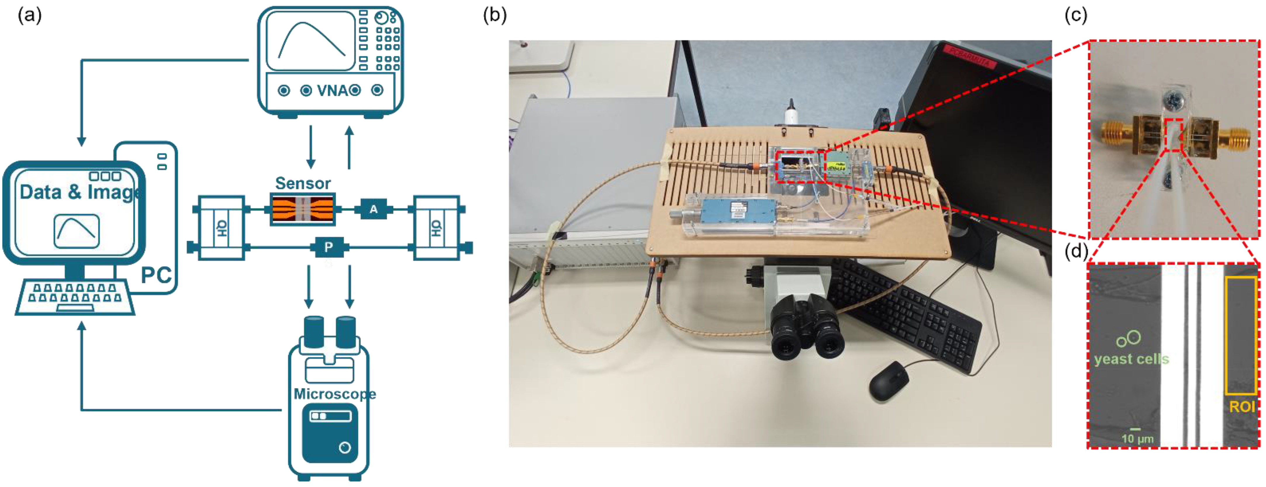 Chemosensors 10 00318 g001