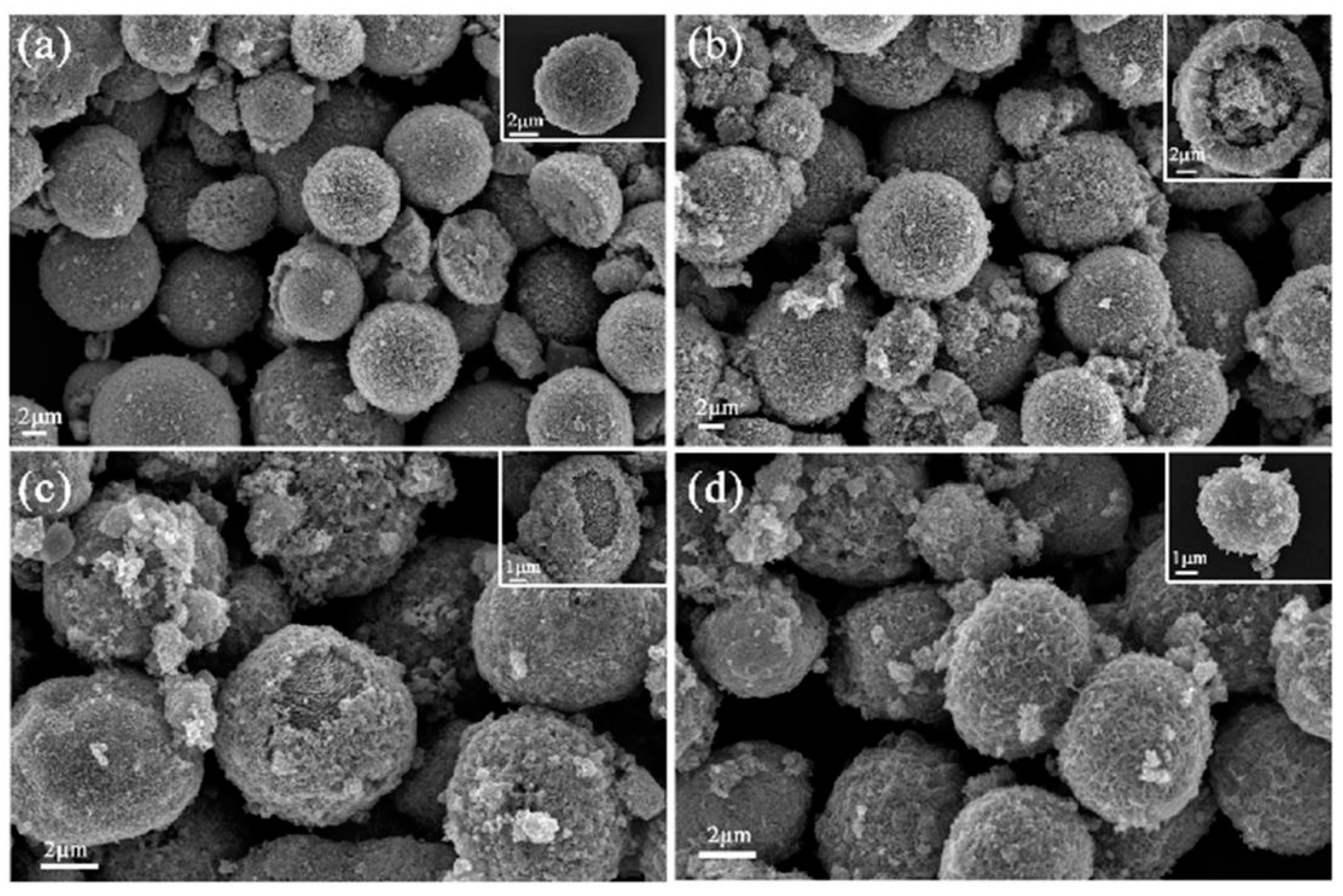 Chemosensors 10 00327 g002