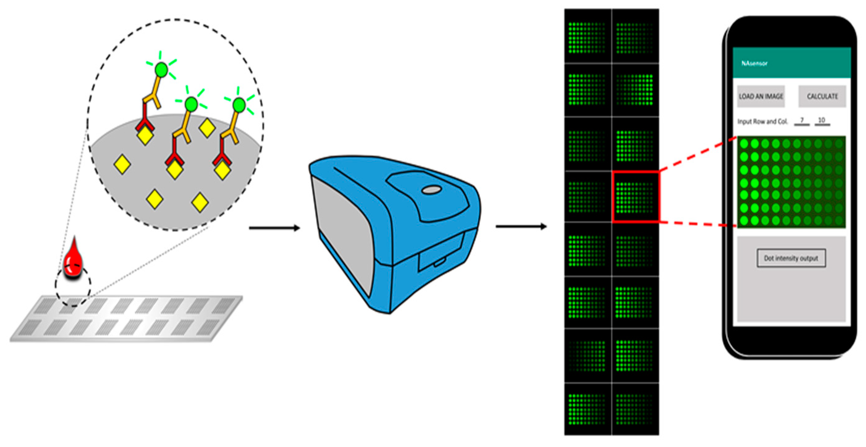 Chemosensors 10 00330 g001