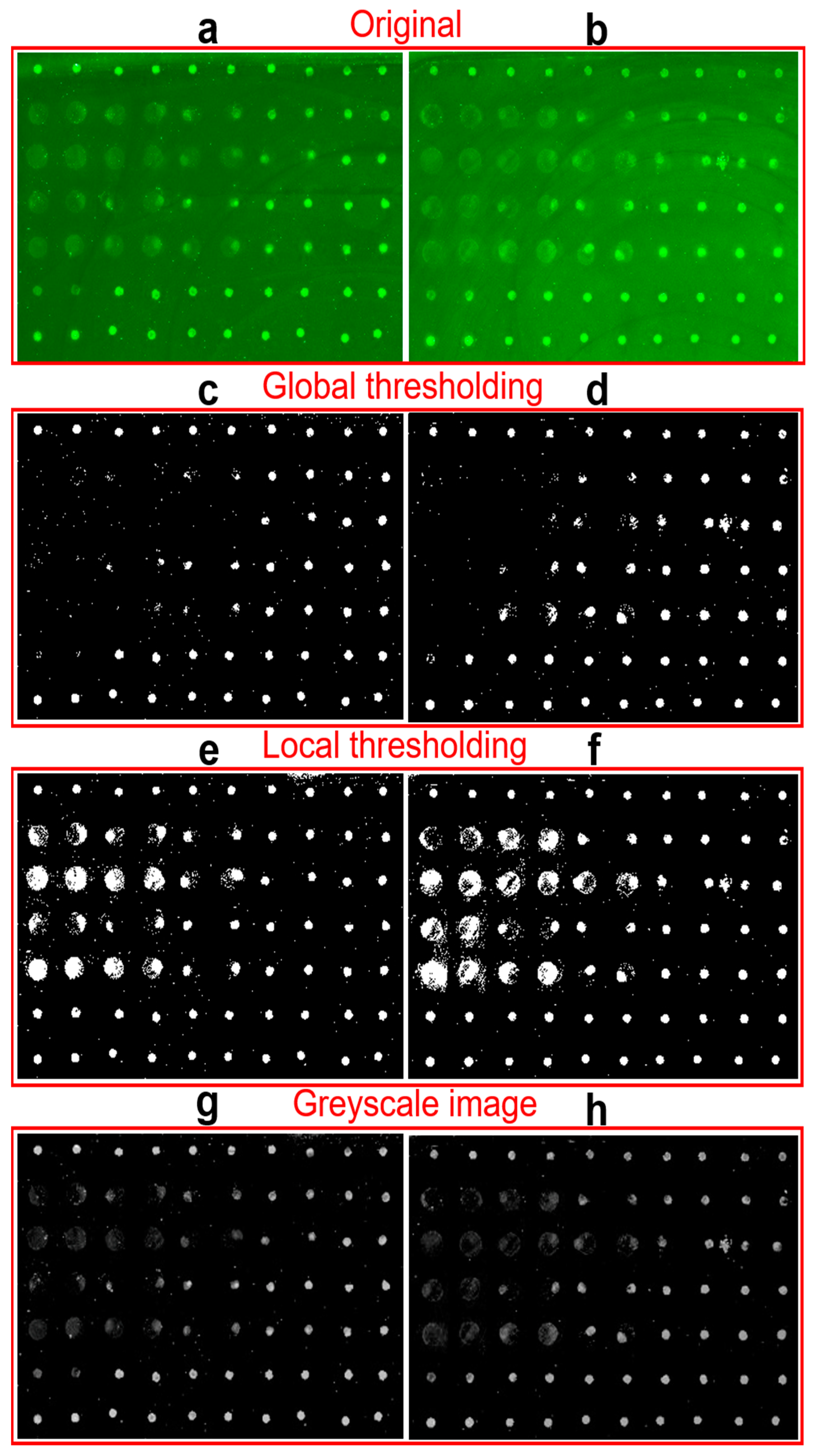 Chemosensors 10 00330 g004