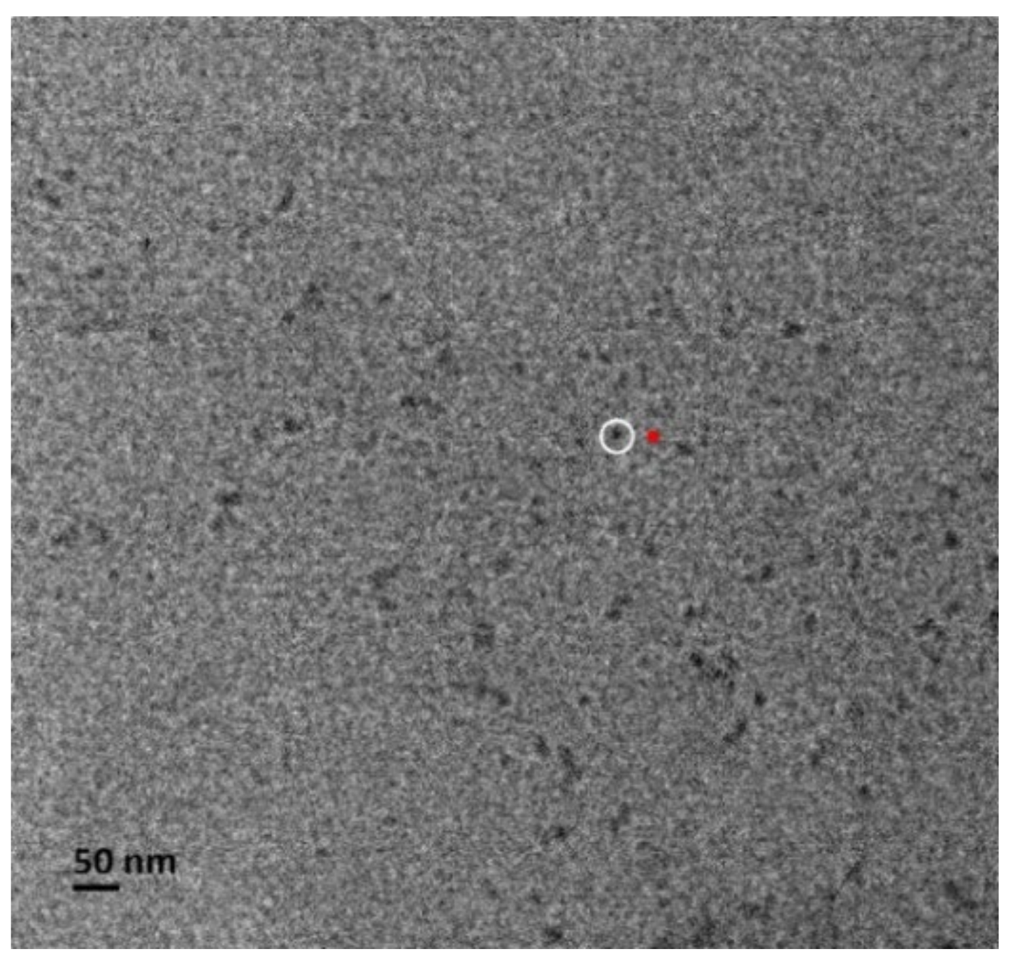 Chemosensors 10 00334 g005