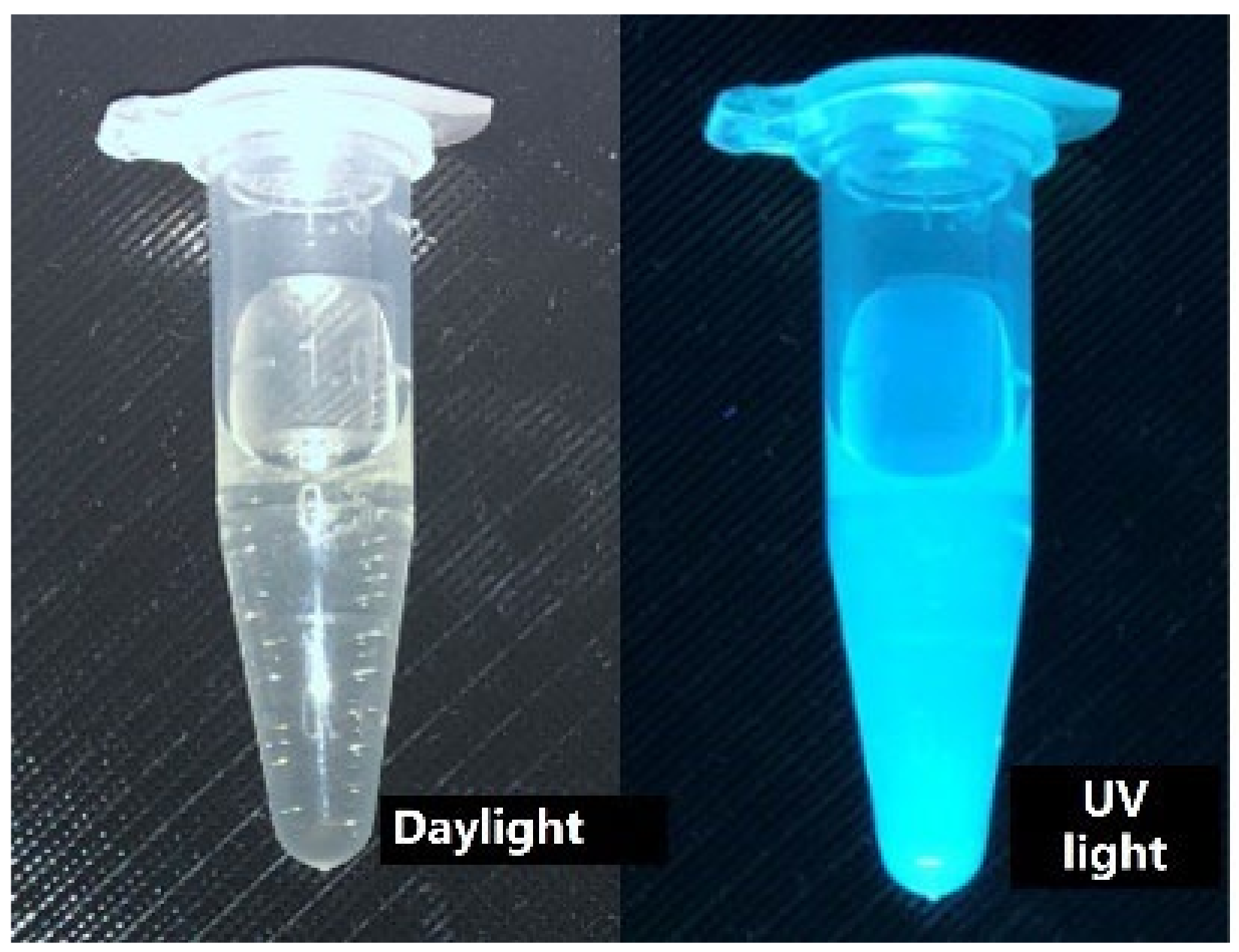 Chemosensors 10 00334 g008