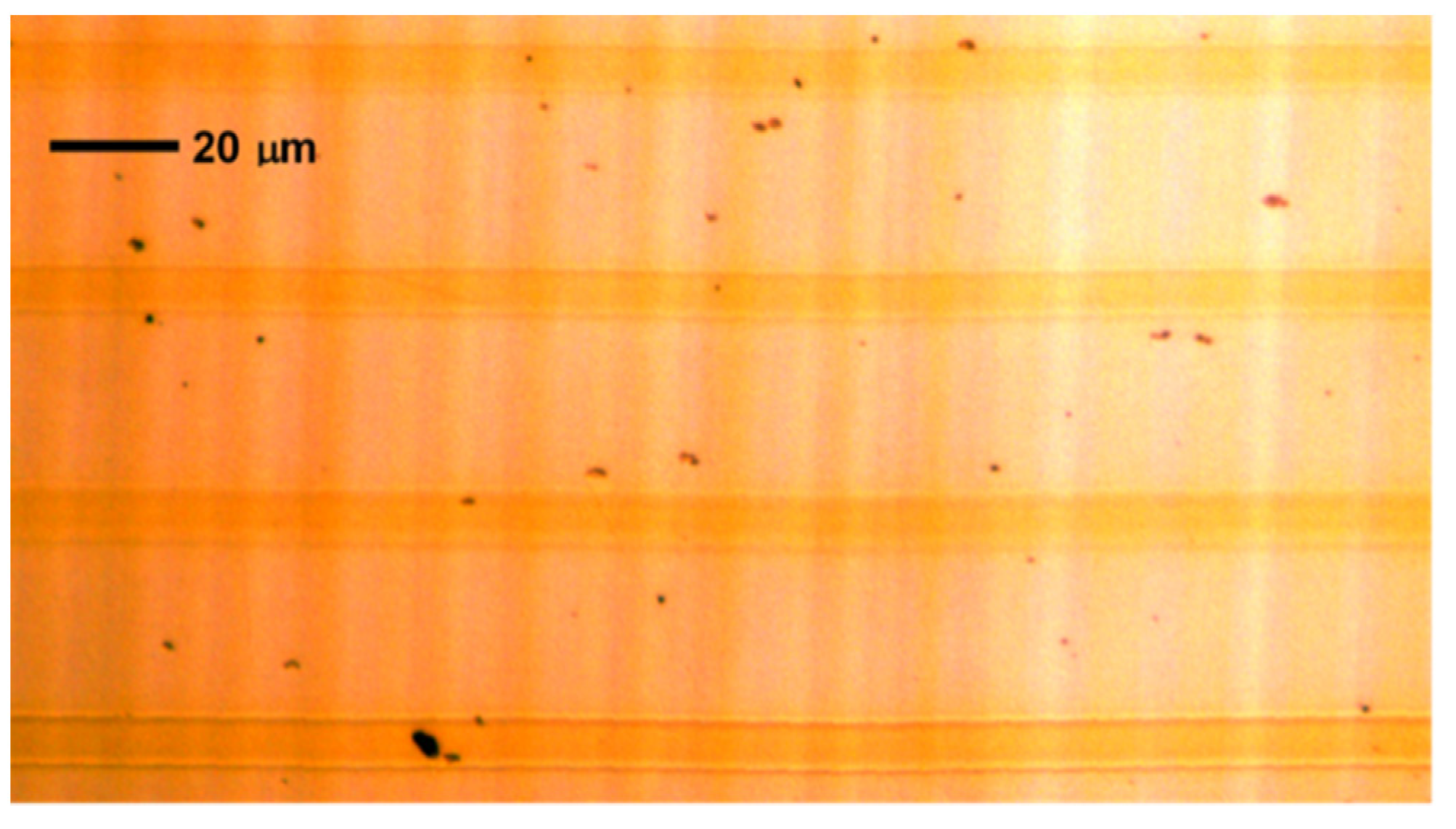 Chemosensors 10 00337 g006