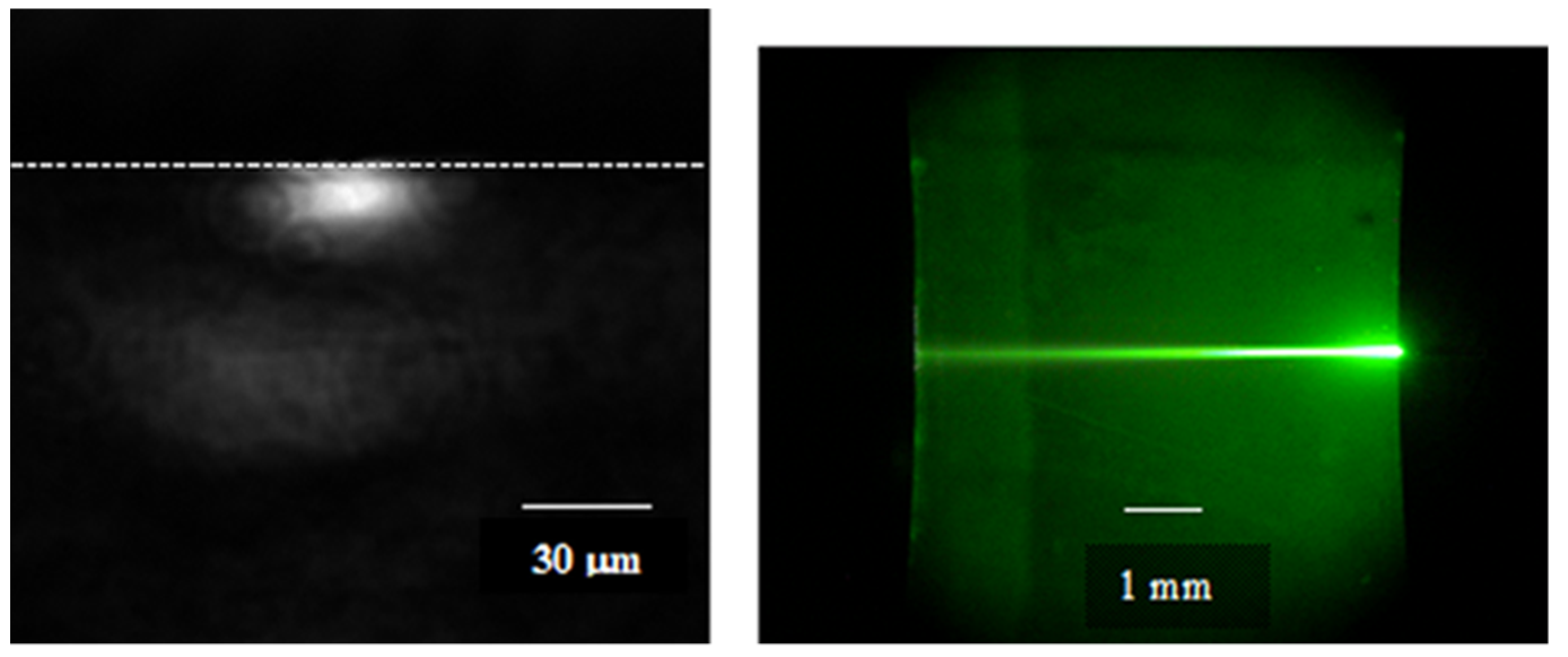 Chemosensors 10 00337 g015