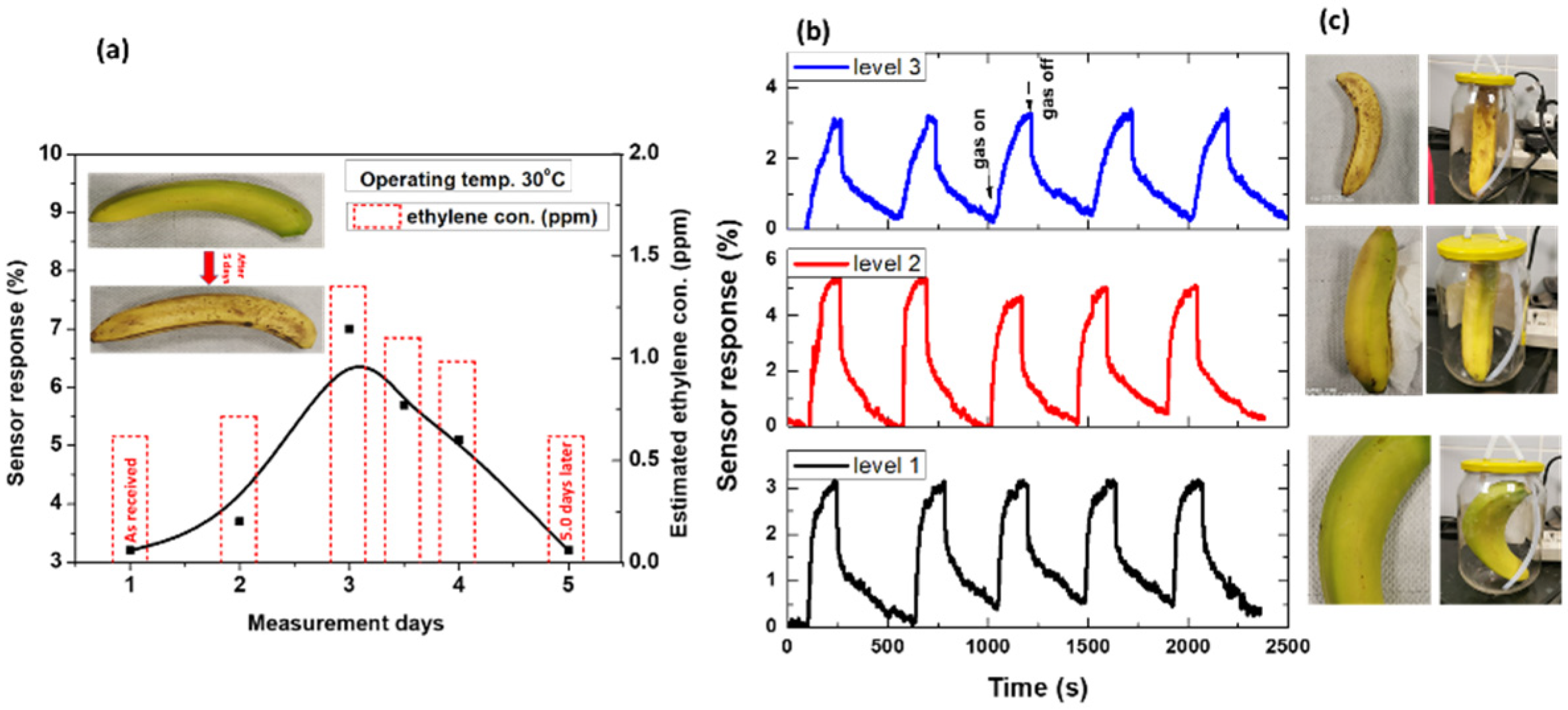 Chemosensors 10 00338 g003