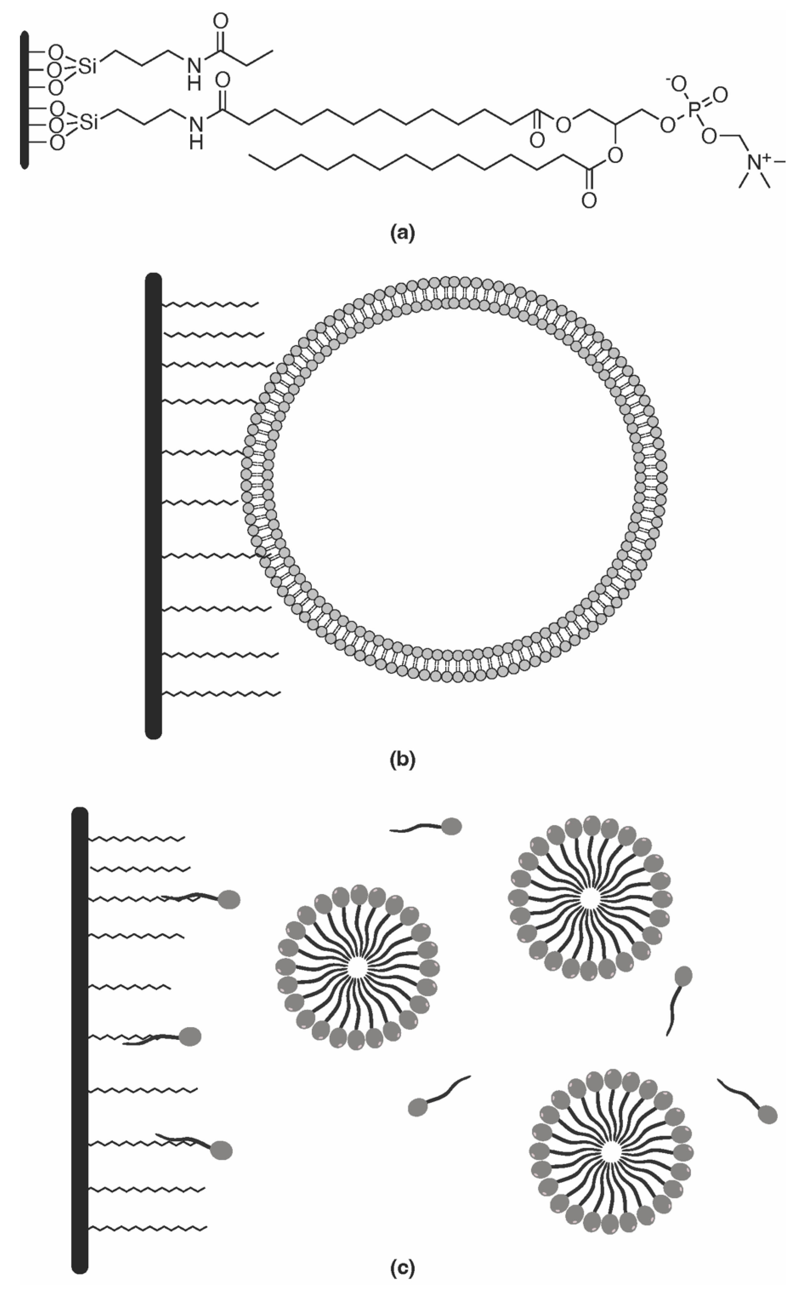 Chemosensors 10 00340 g004