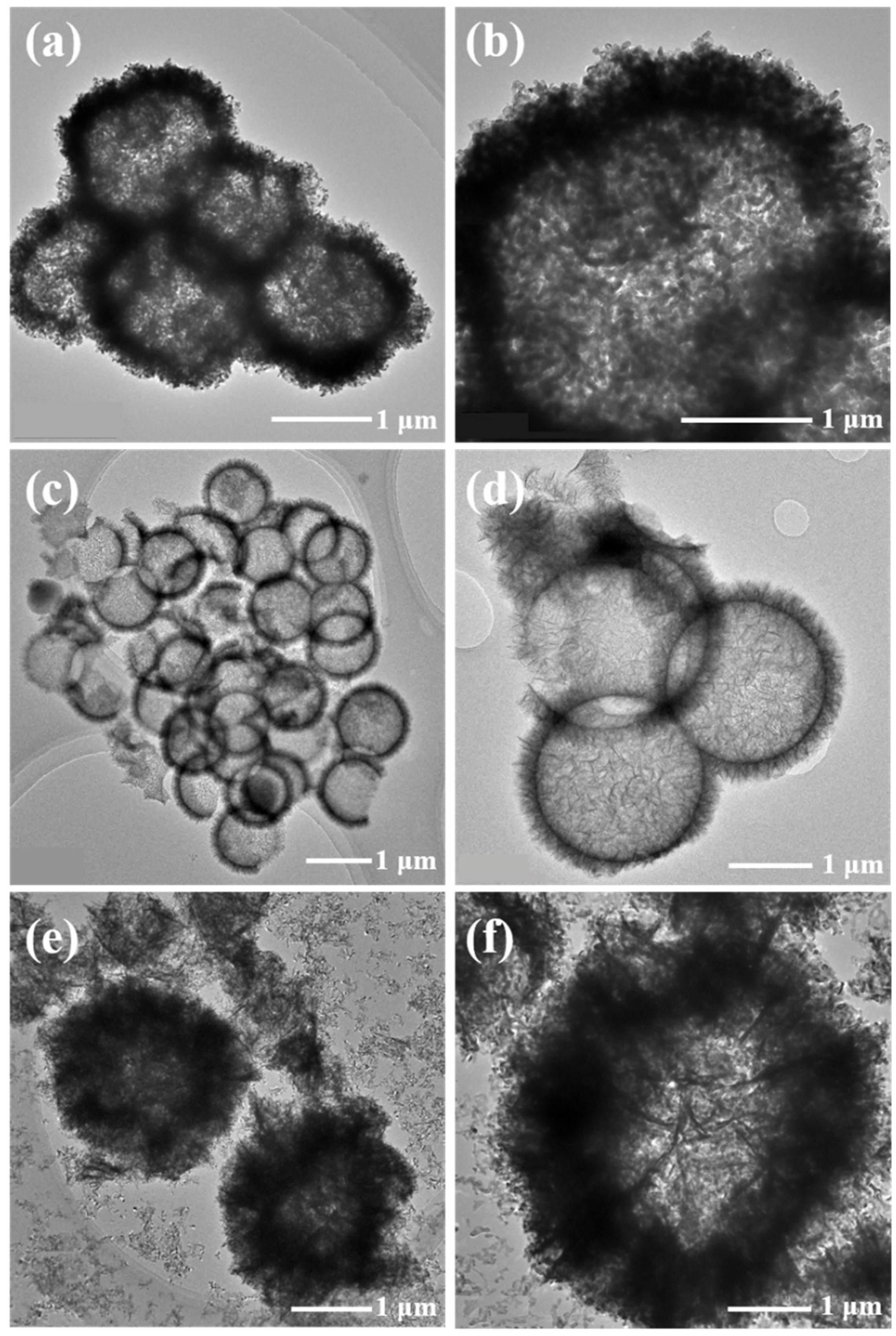 Chemosensors 10 00341 g004