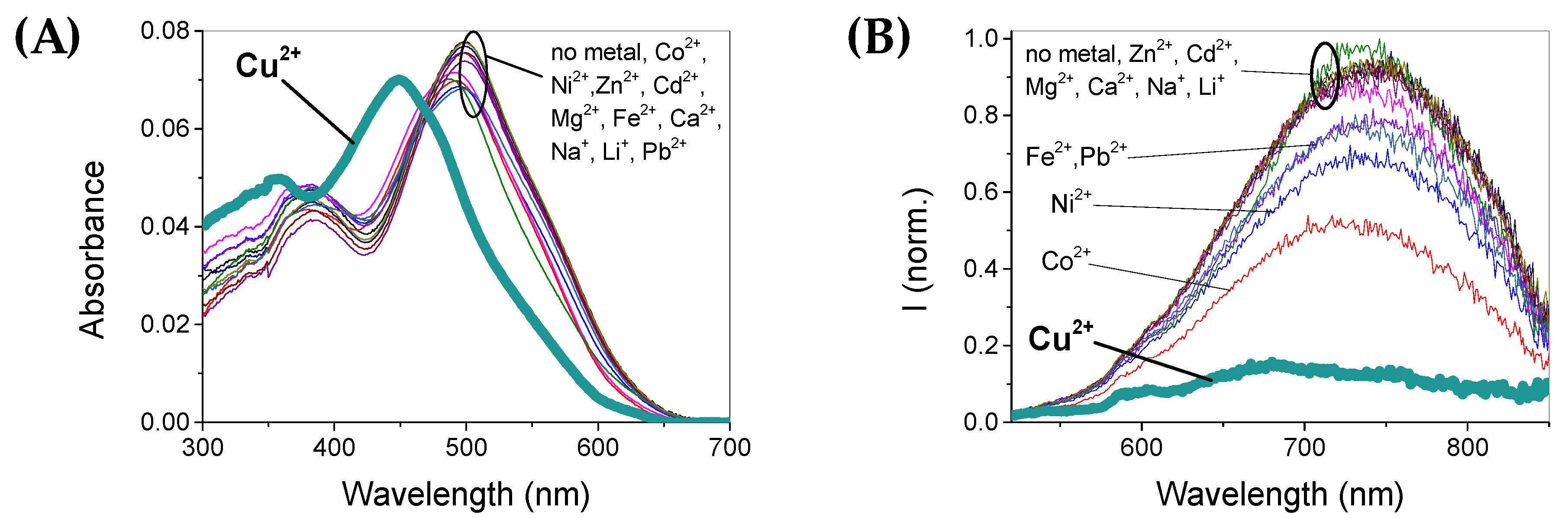 Chemosensors 10 00343 g003