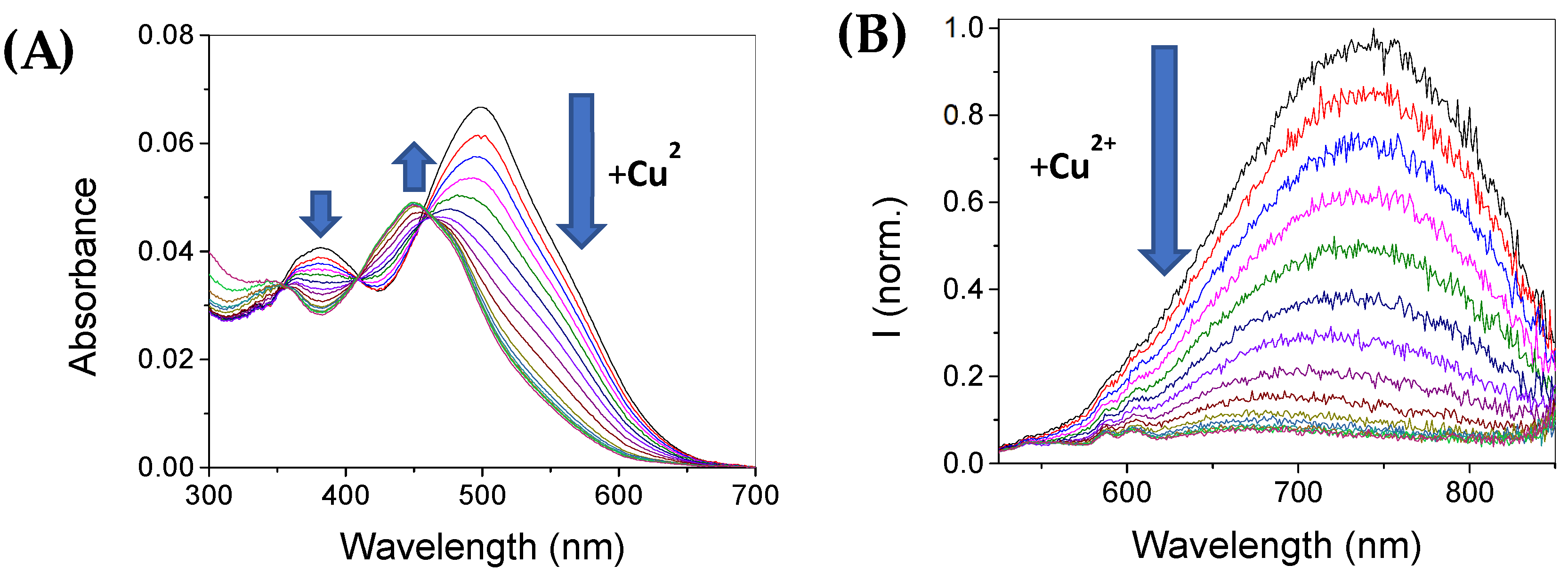 Chemosensors 10 00343 g004