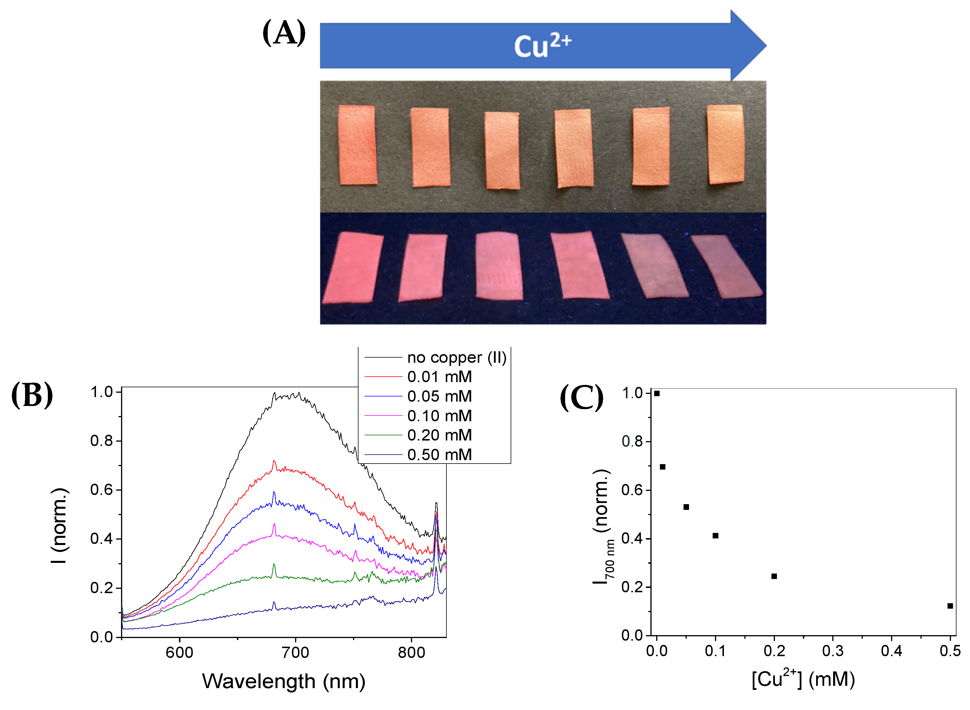 Chemosensors 10 00343 g008