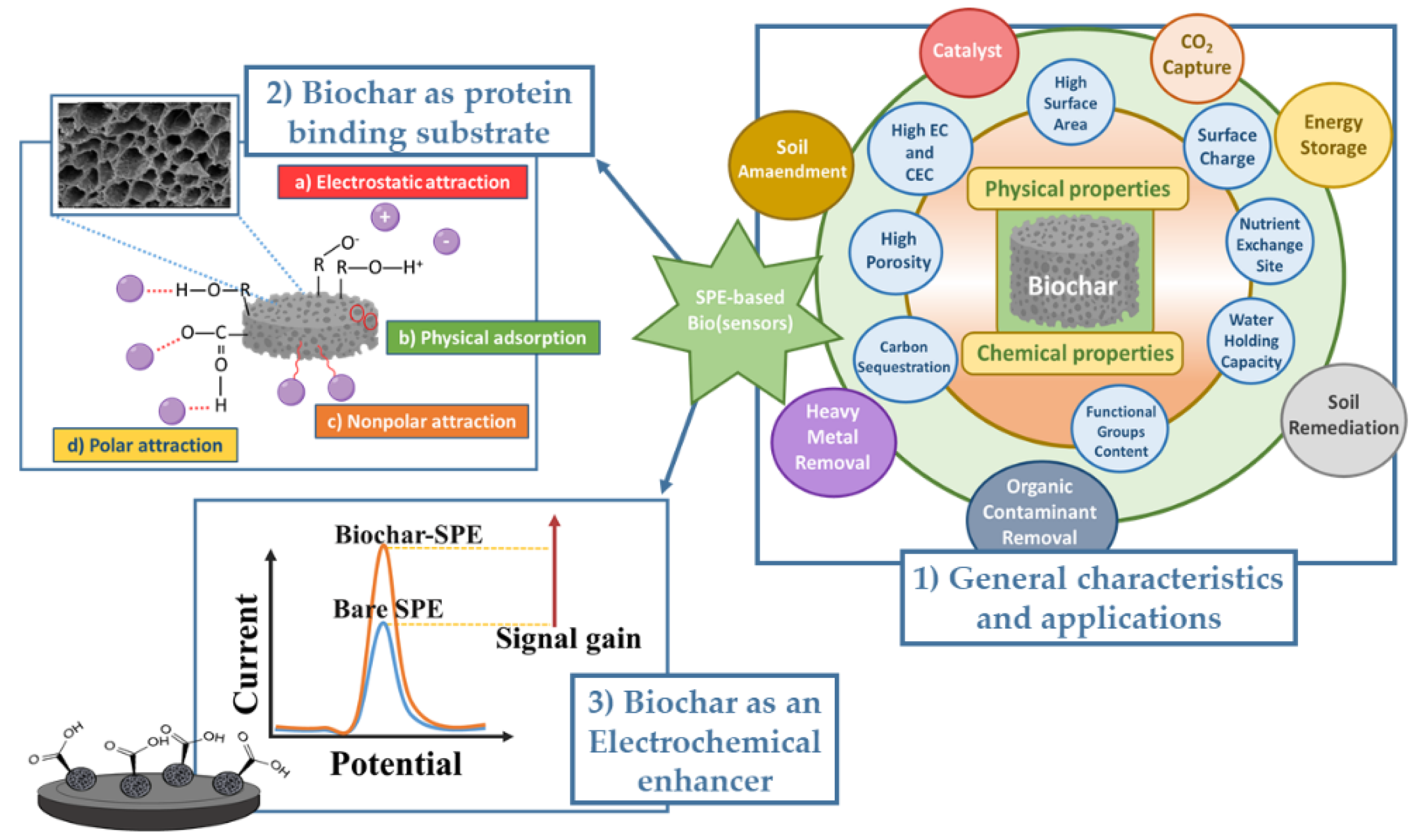 Chemosensors 10 00344 g001
