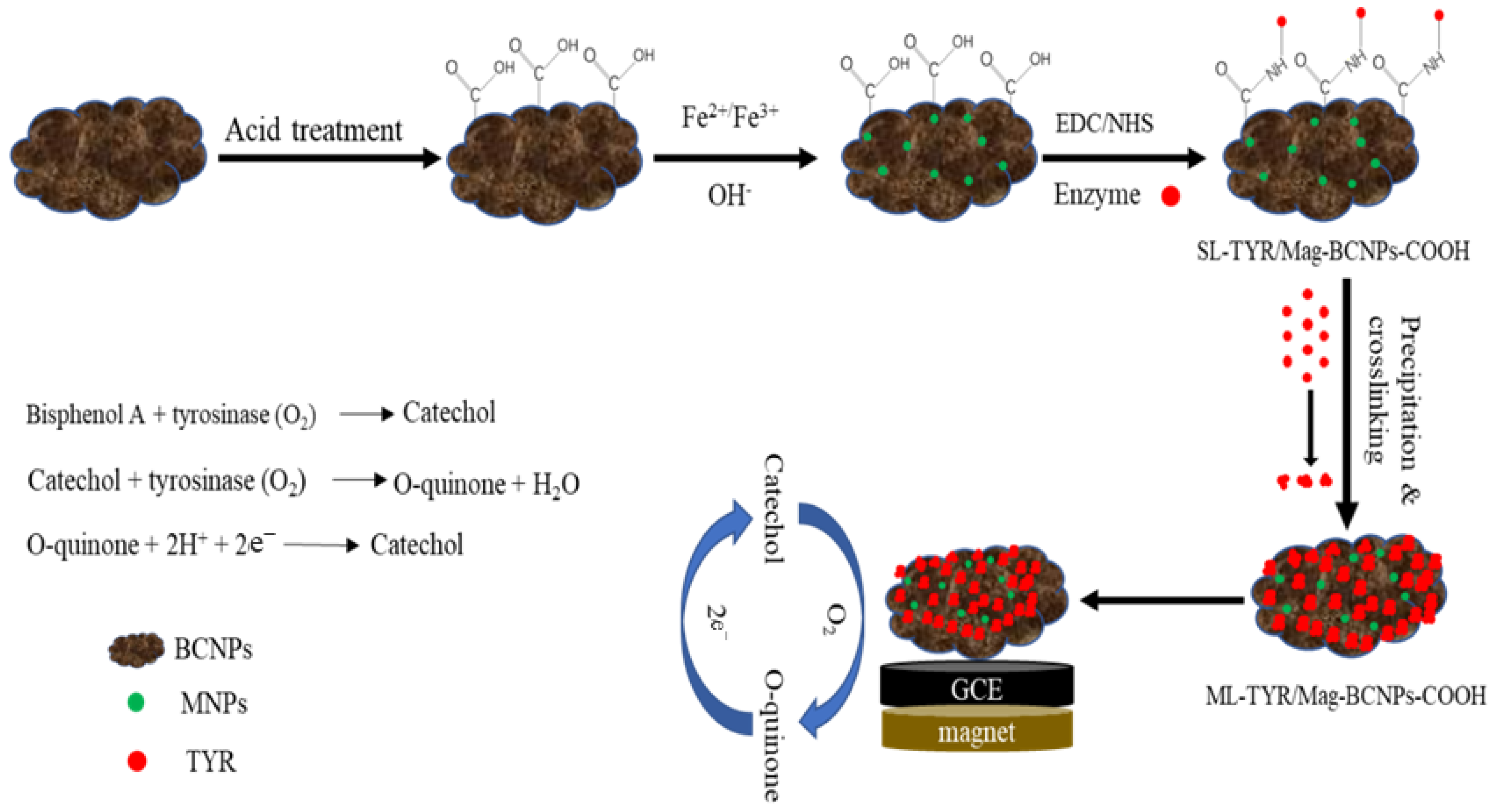 Chemosensors 10 00344 g004