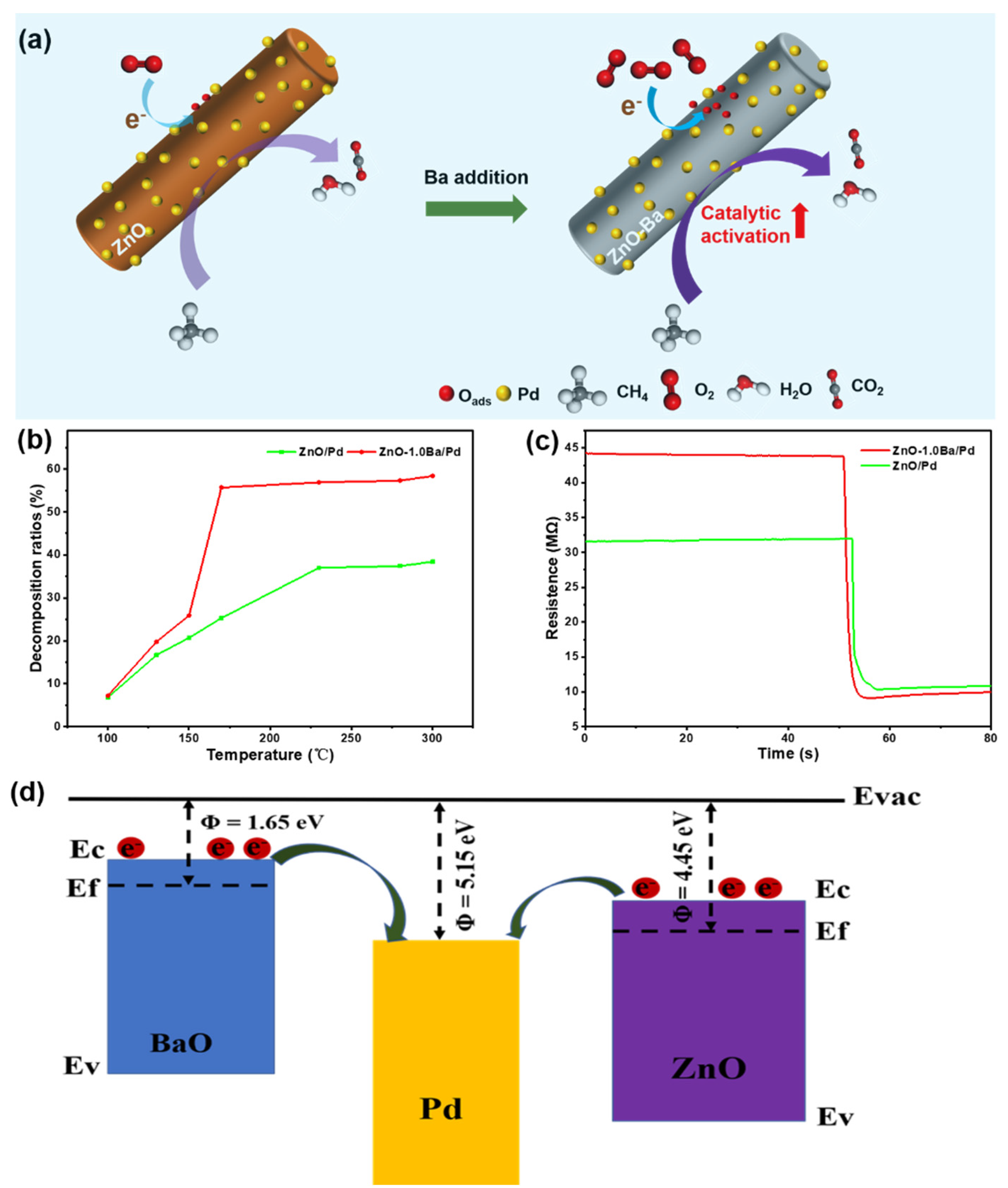 Chemosensors 10 00346 g006