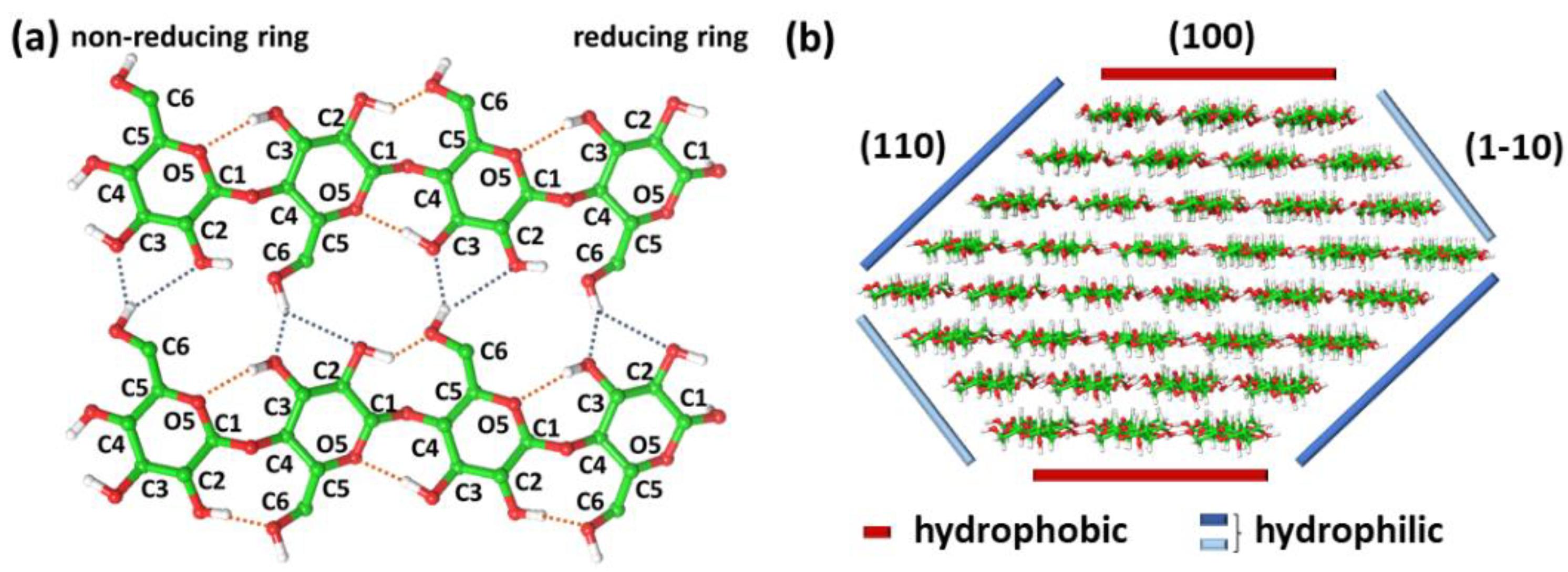 Chemosensors 10 00352 g001