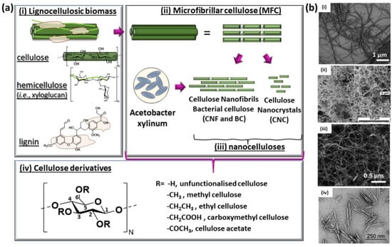Chemosensors 10 00352 g002