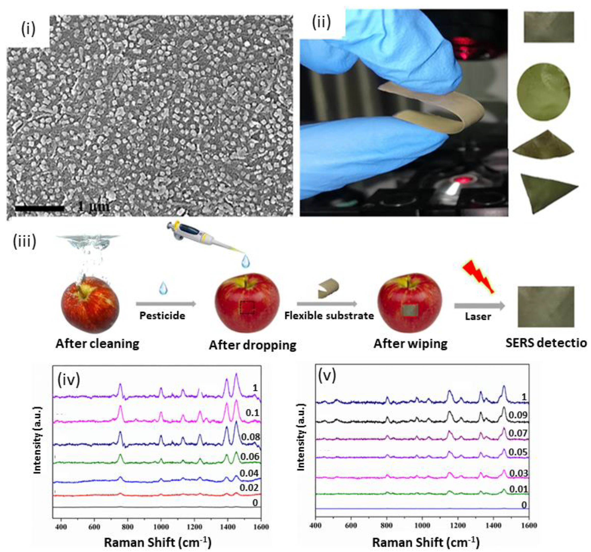 Chemosensors 10 00352 g005