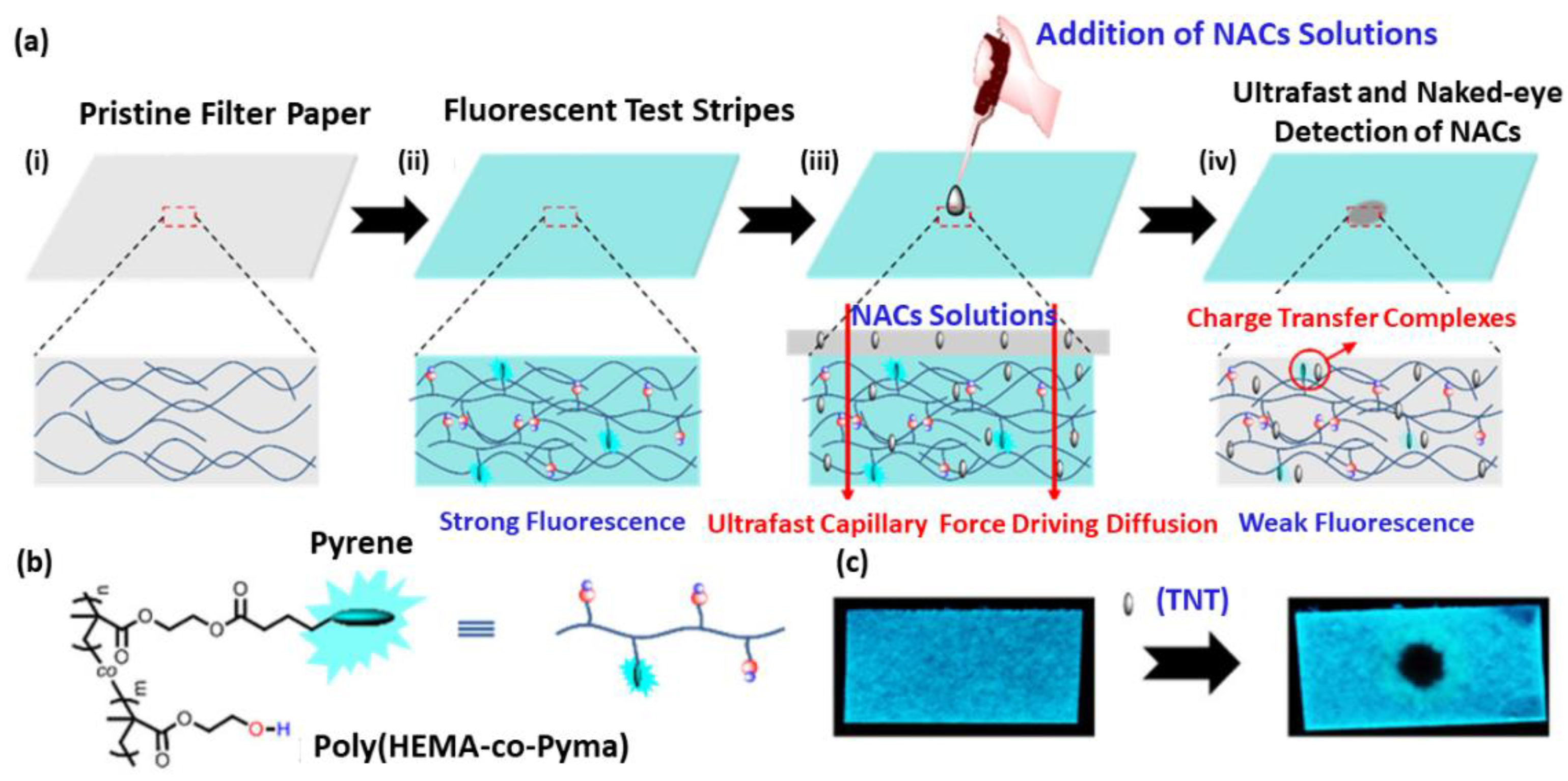 Chemosensors 10 00352 g007