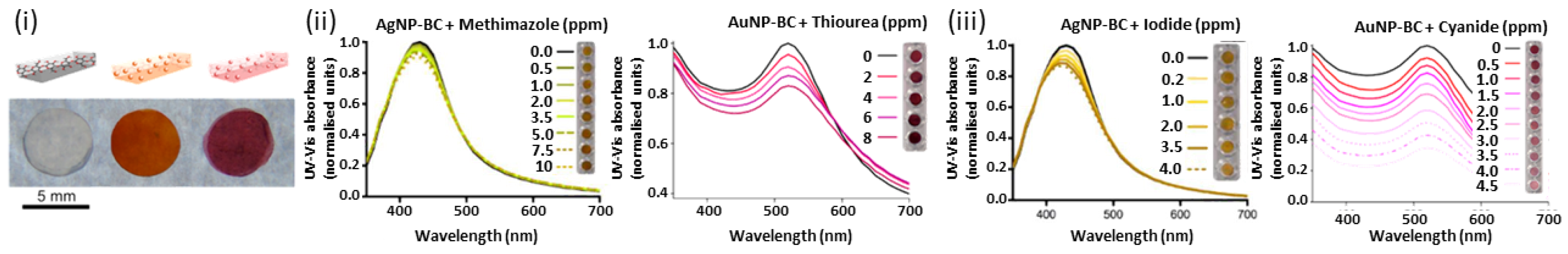 Chemosensors 10 00352 g009