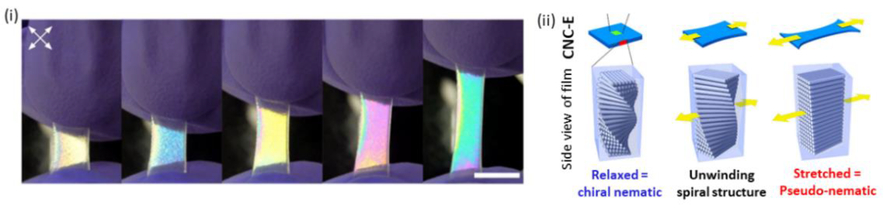 Chemosensors 10 00352 g011