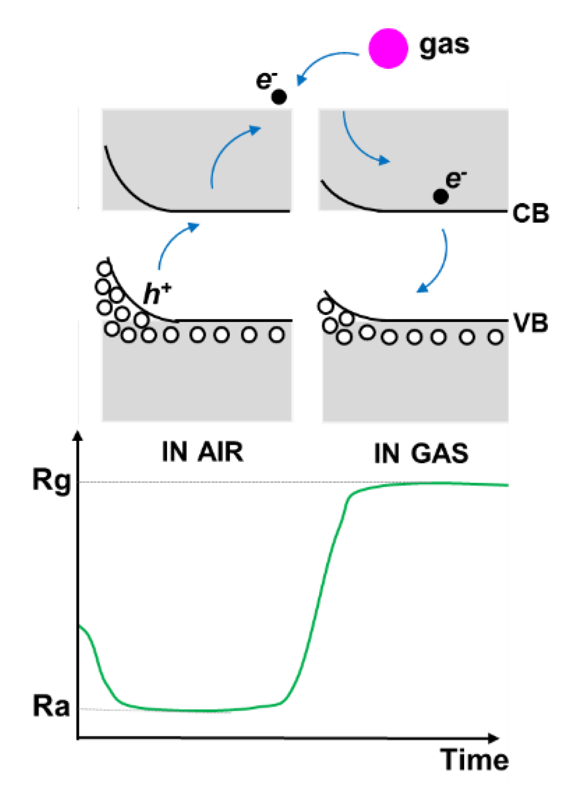 Chemosensors 10 00353 g008