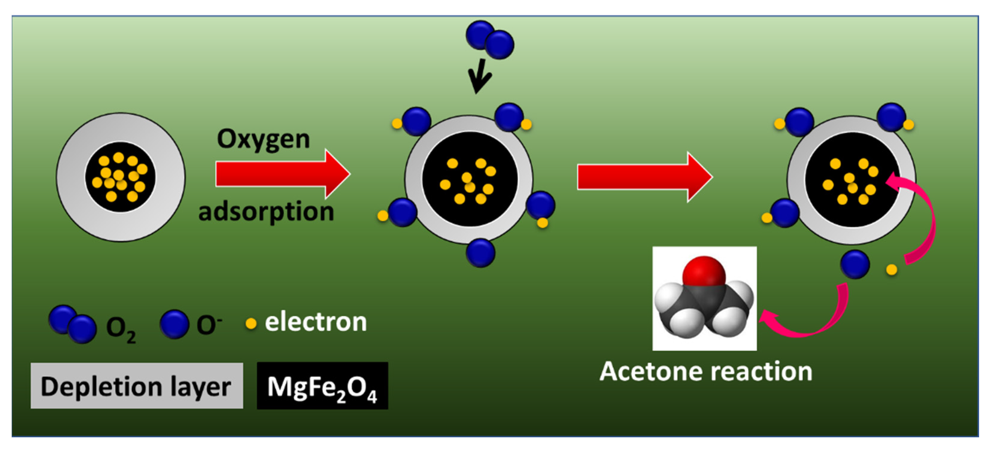 Chemosensors 10 00361 g009