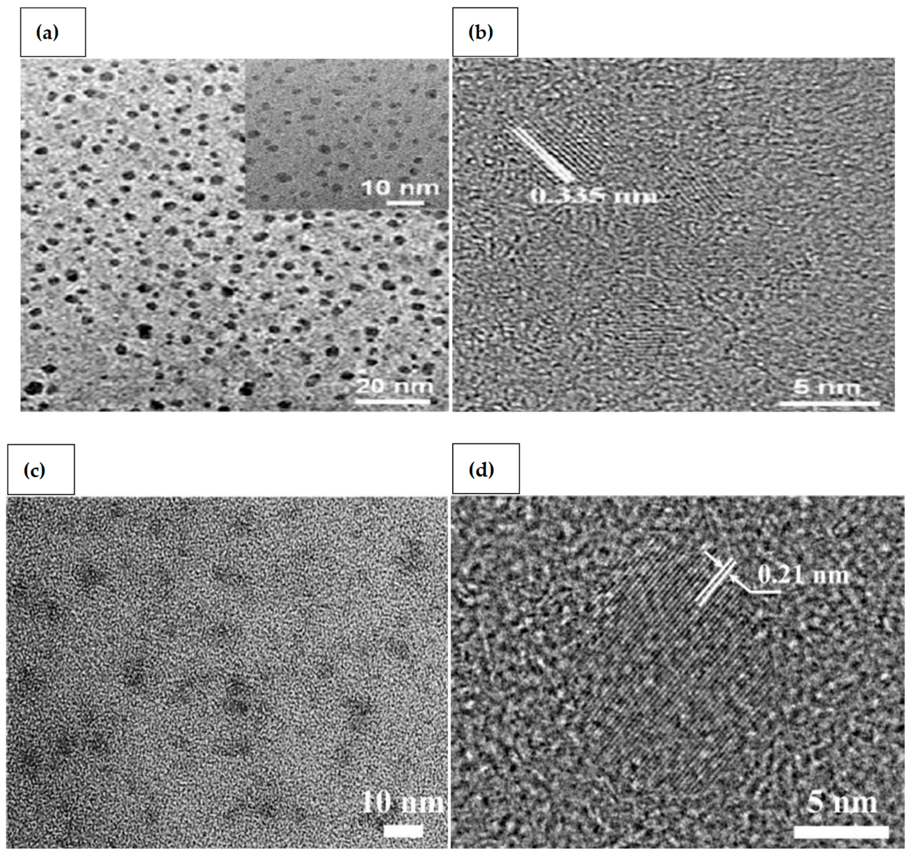 Chemosensors 10 00367 g001