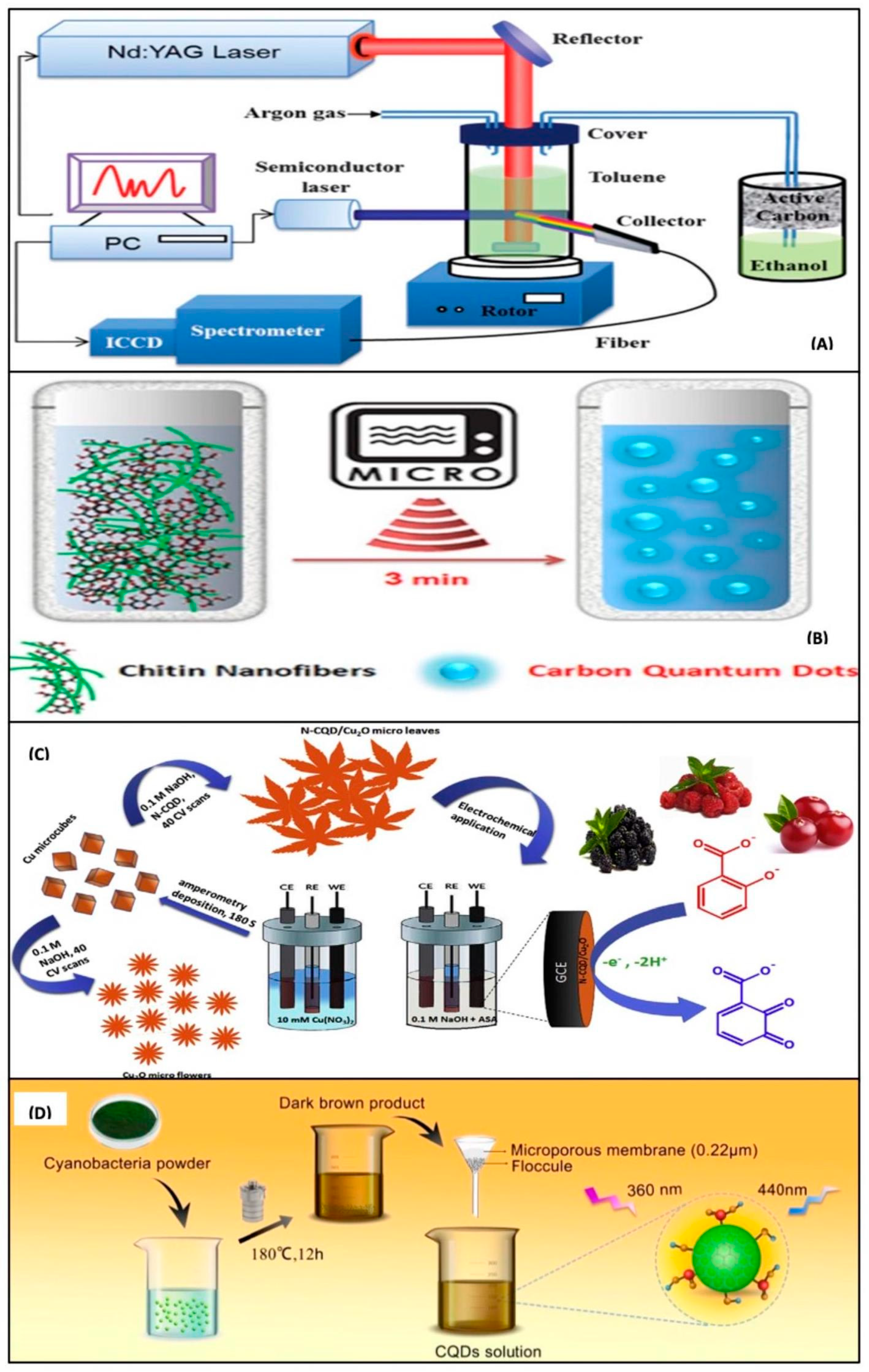 Chemosensors 10 00367 g004