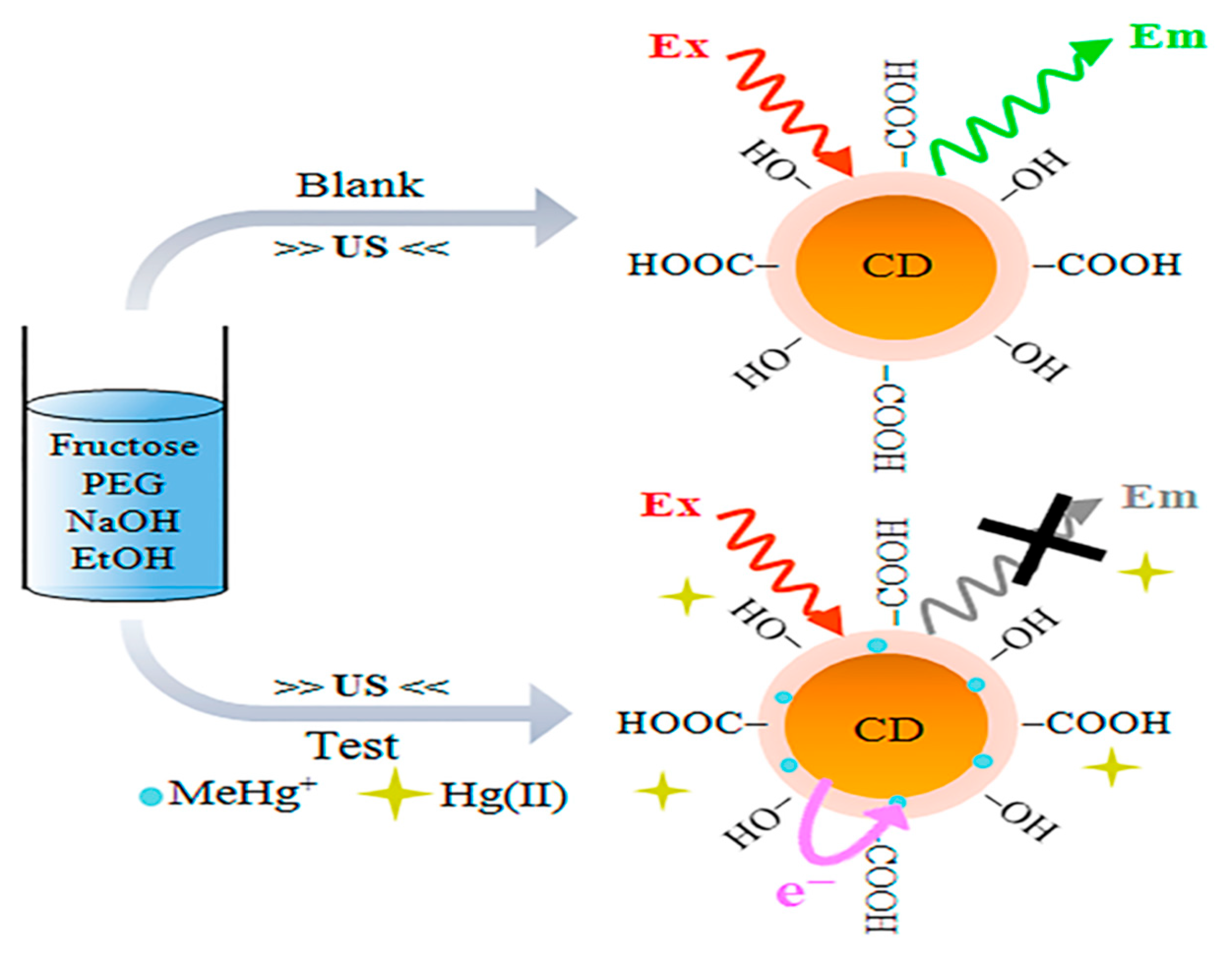 Chemosensors 10 00367 g006