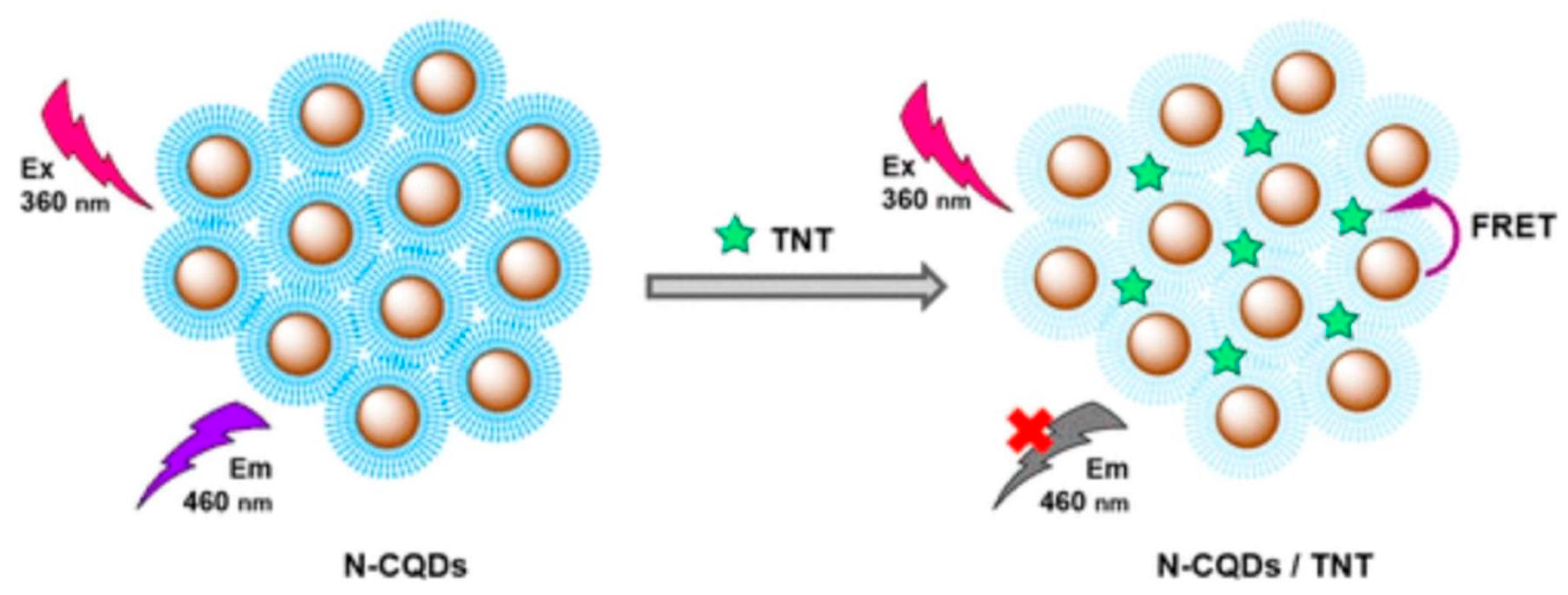 Chemosensors 10 00367 g007